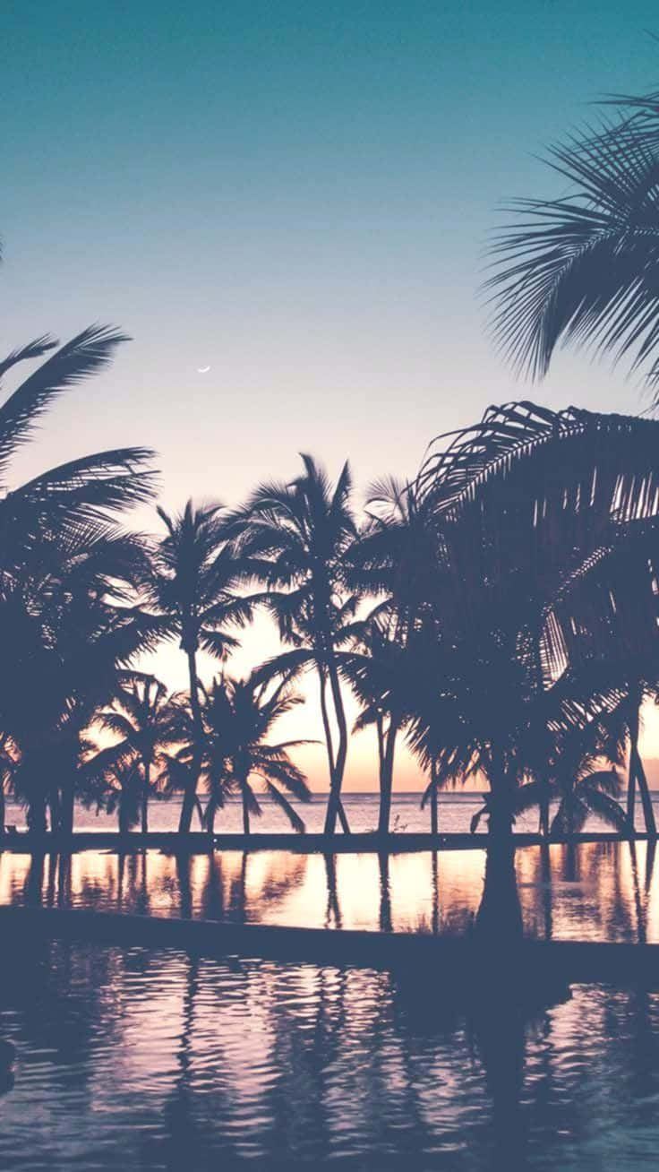 A Sunset With Palm Trees And A Pool