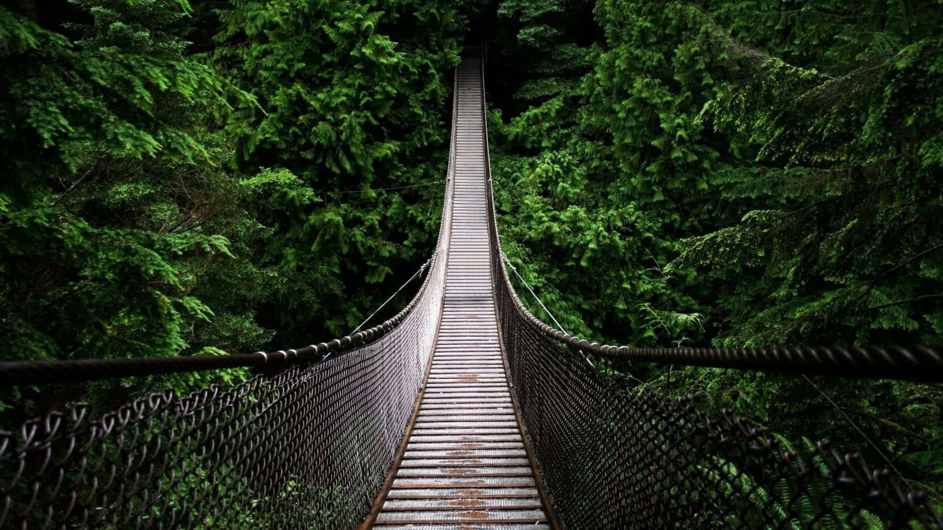 A Suspension Bridge Spanning A Forest Background