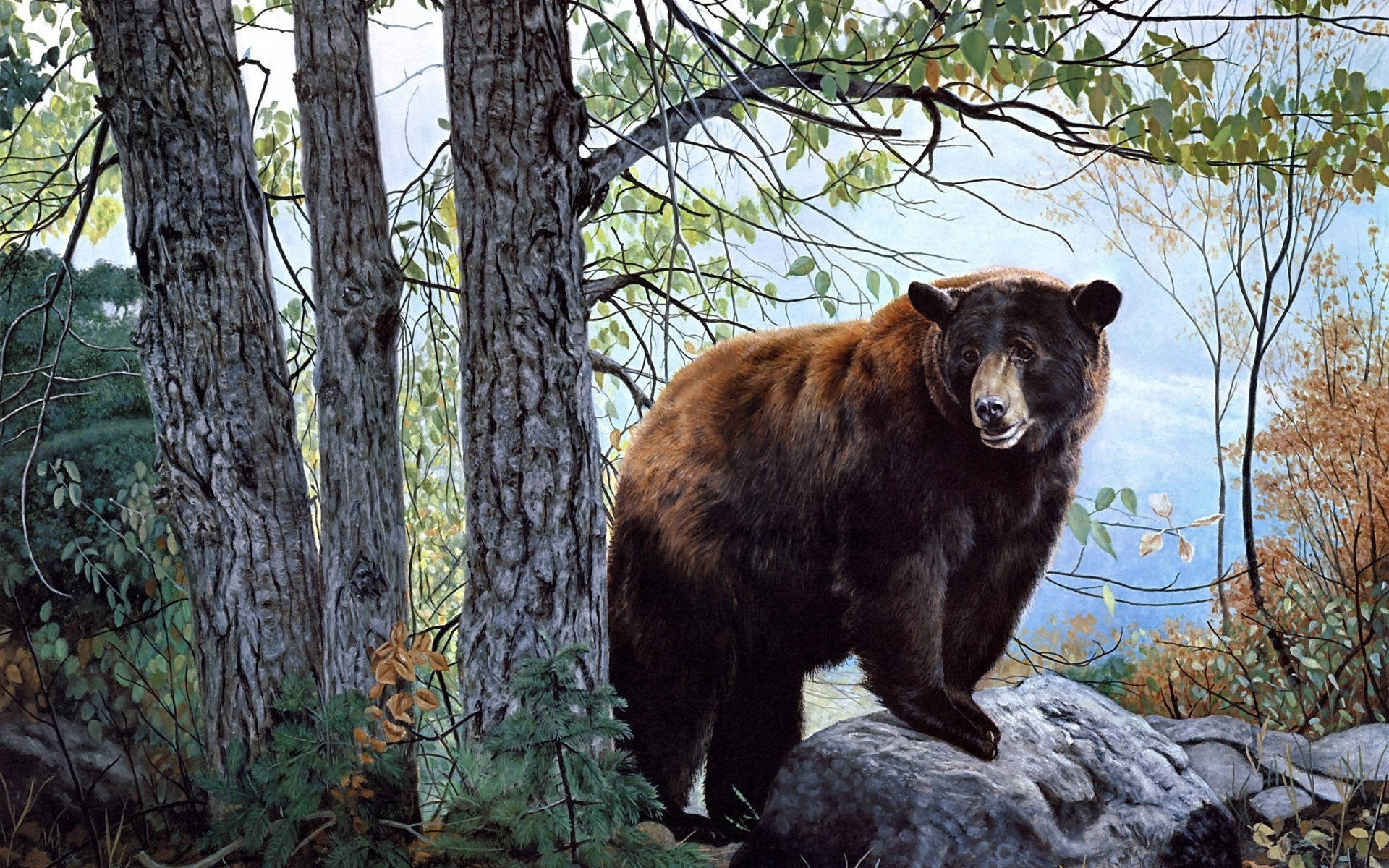 A Sweet And Happy Brown Bear Ready For Hugs. Background