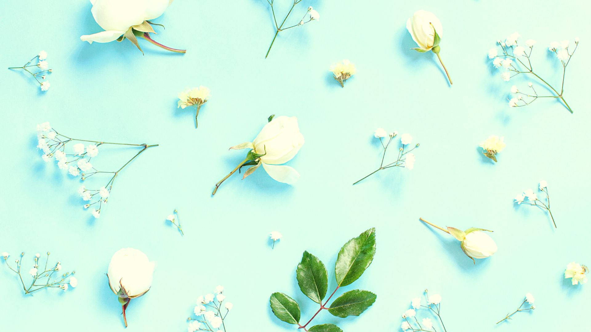 A Sweet Light Blue Background Perfect For A Peaceful Day