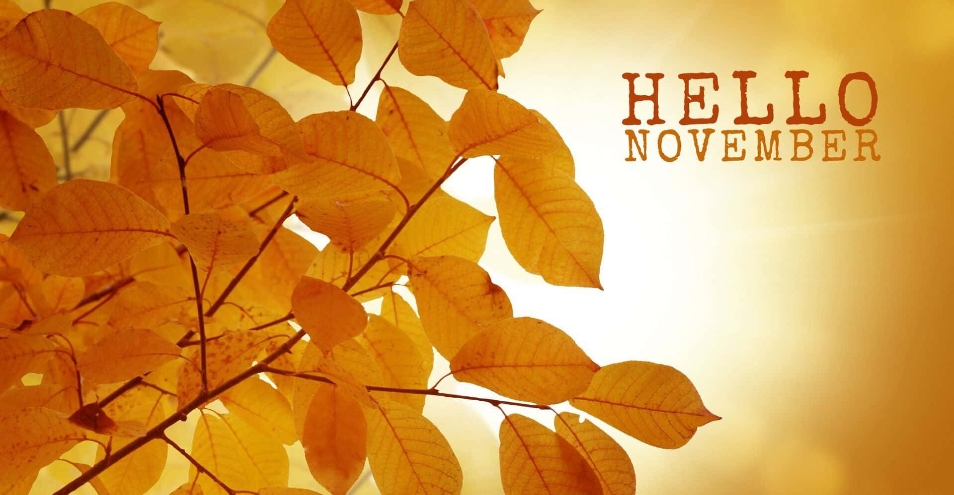 'a Sweet November Day!' Background