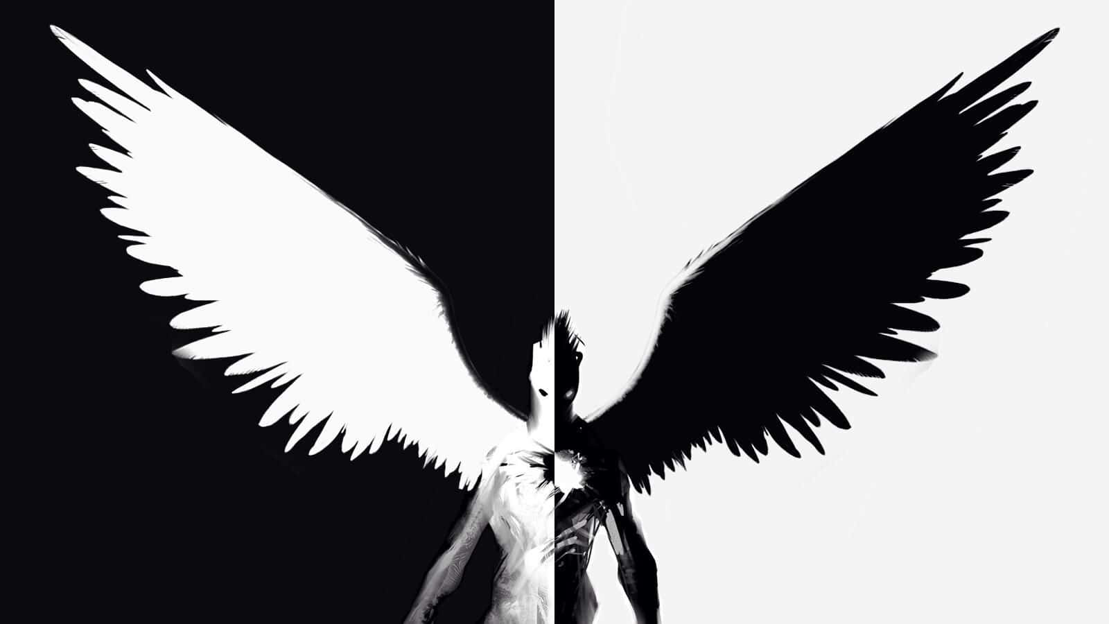 A Symmetrical Balance Between Half Black And Half White In A Horizontal Composition. Background