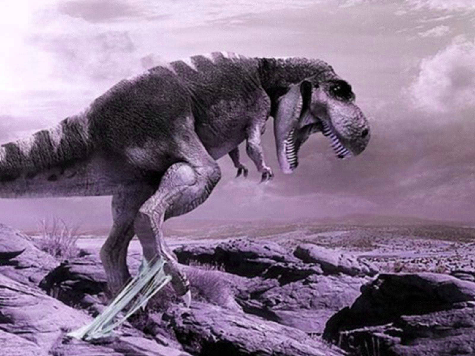 A T - Rex Is Walking On A Rock With A Purple Sky Background