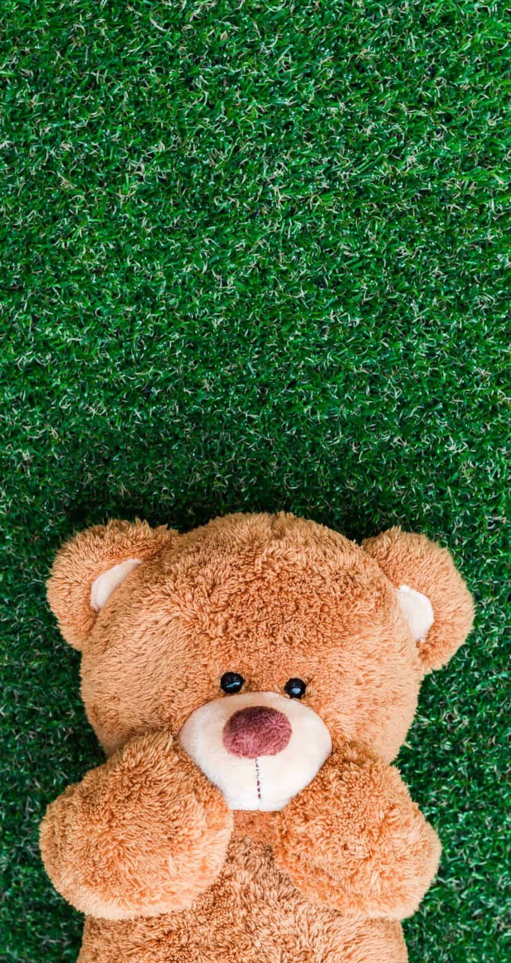 A Teddy Bear Laying On A Green Grass Background