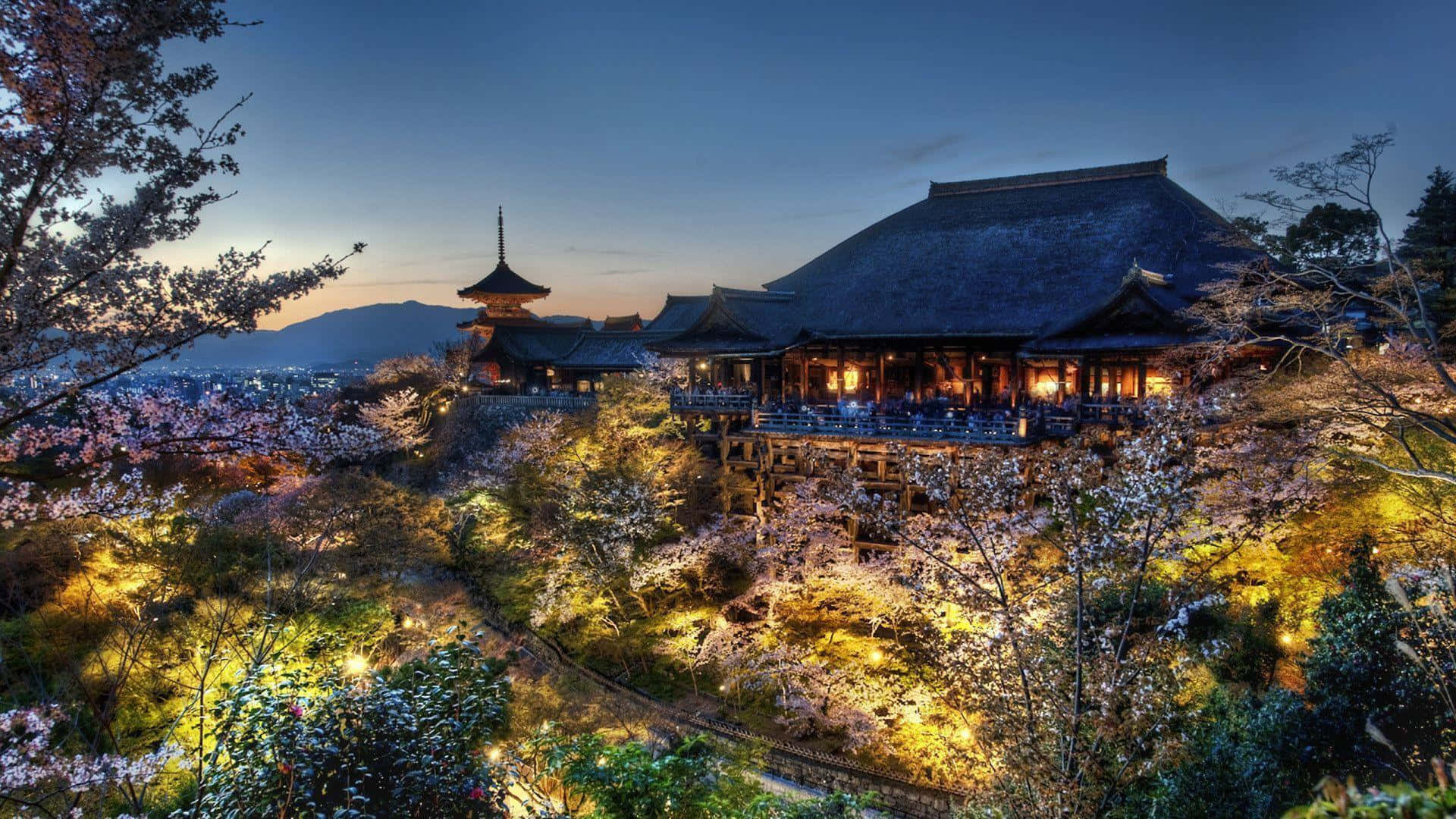 A Temple Lit Up At Night With Cherry Blossoms Background