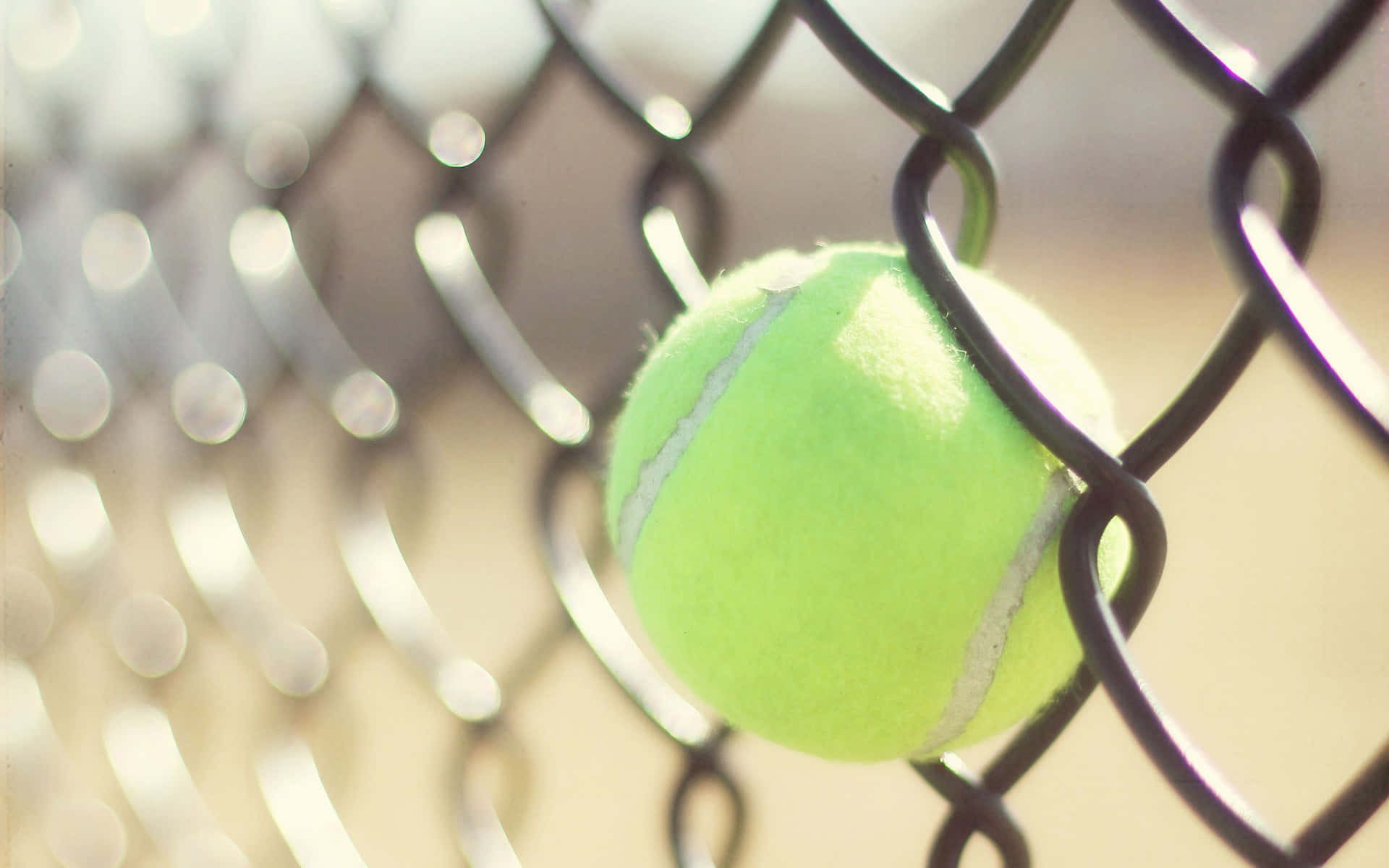 A Tennis Ball Is Hanging From A Fence Background