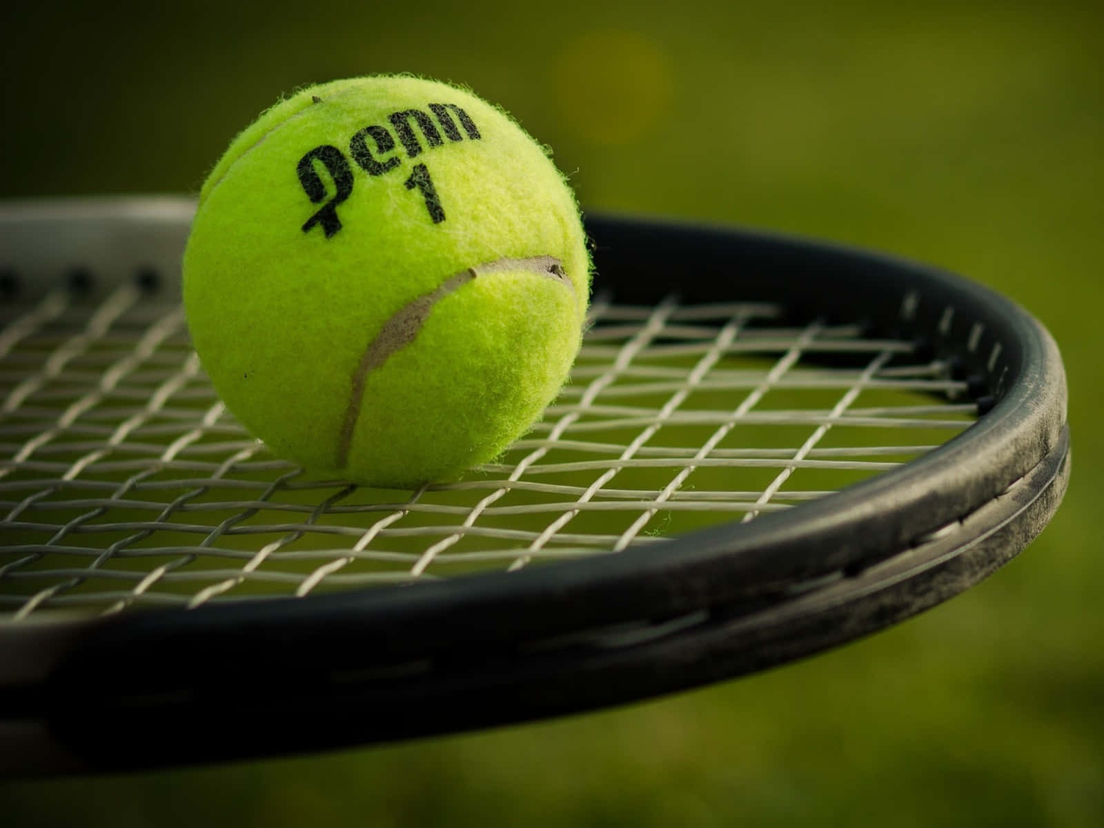 A Tennis Ball Set And Ready For A Perfect Drop Shot Background