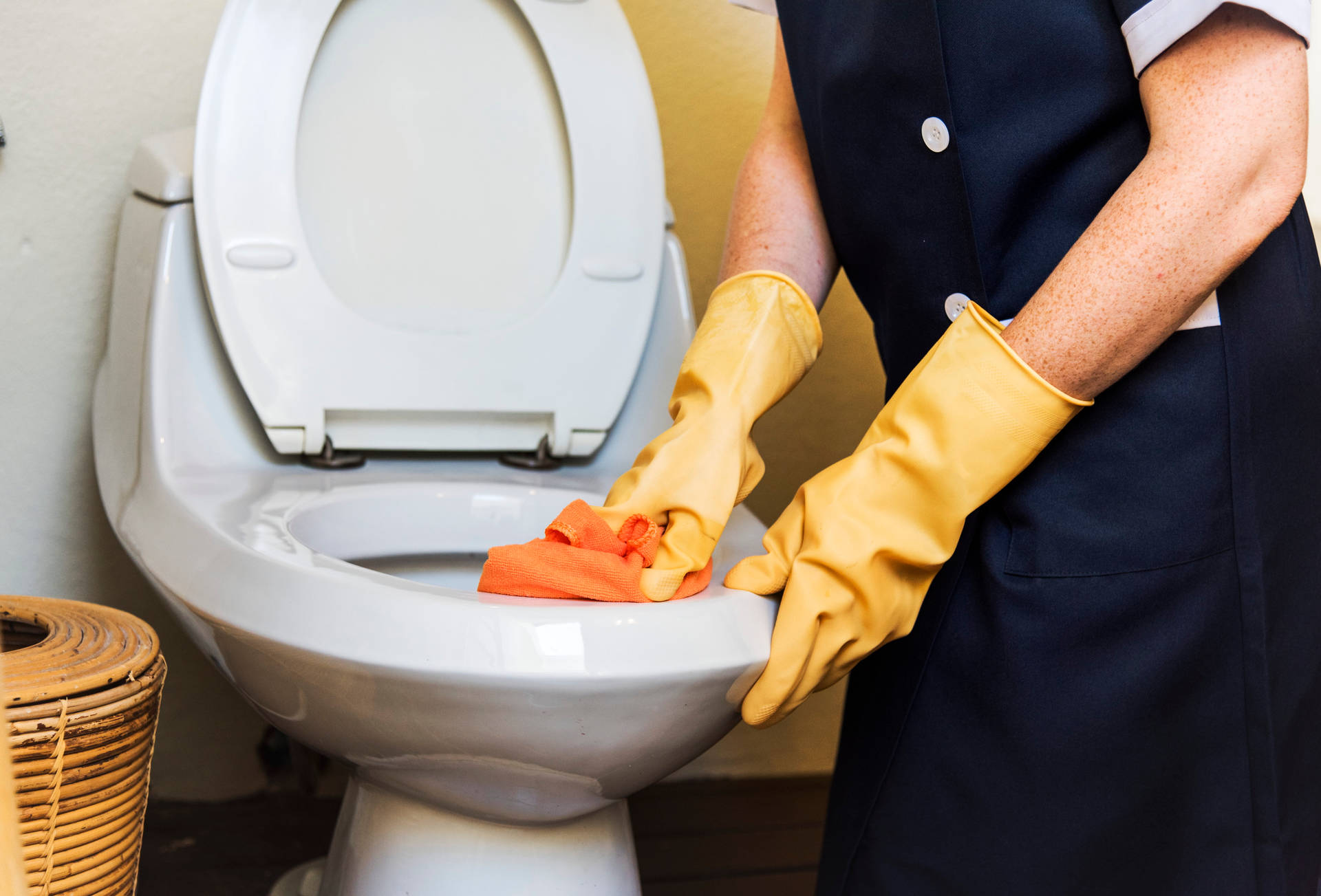 A Thorough Toilet Cleaning Produced By A Professional House Cleaner Background