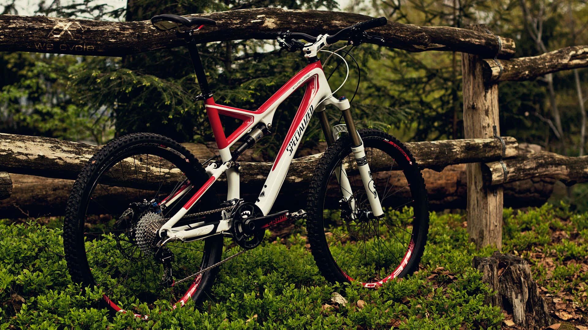 A Thrilling Ride With Specialized Mountain Bike Background
