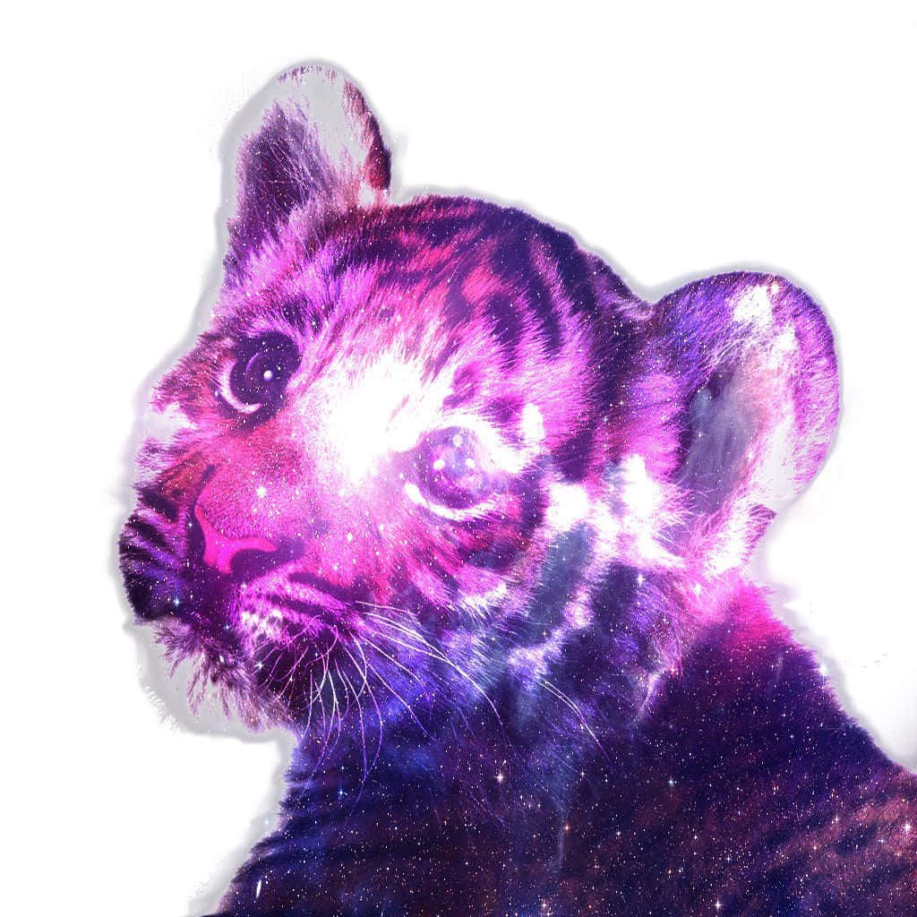 A Tiger Cub With A Purple And Pink Background Background