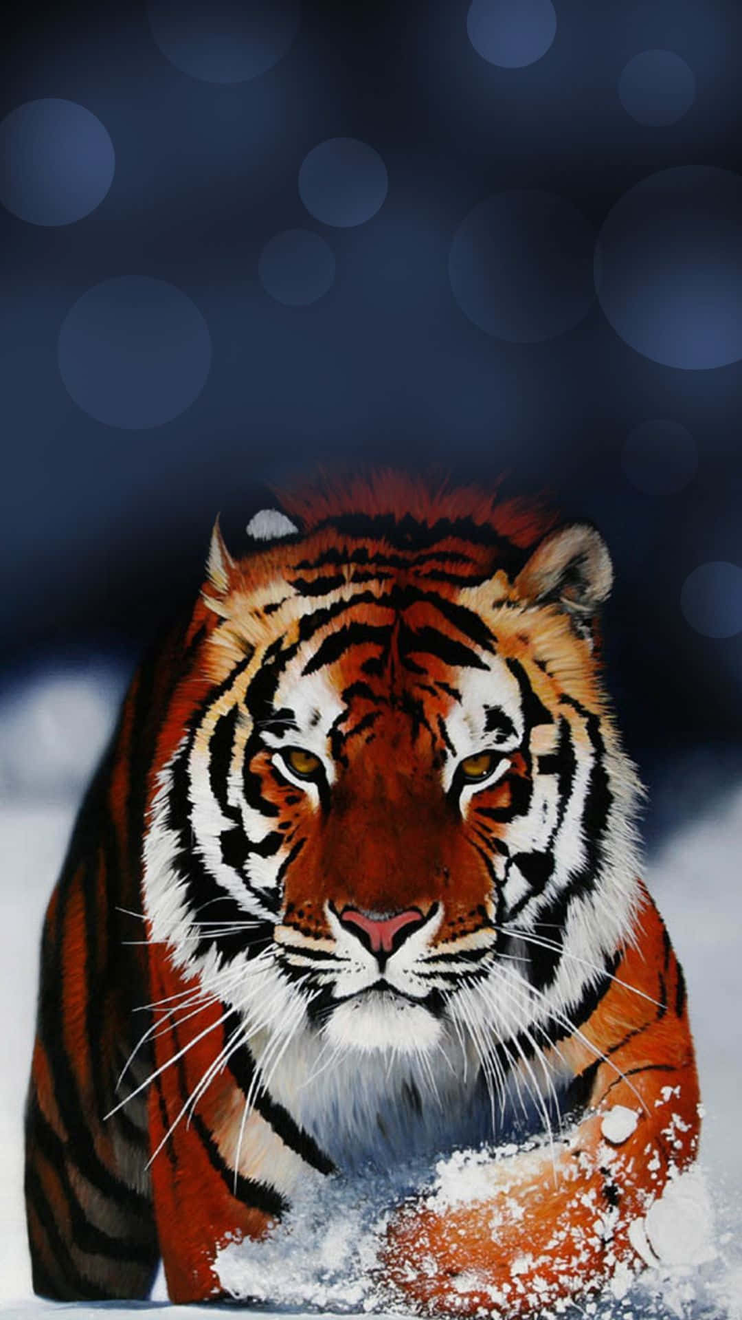 A Tiger Is Running Through The Snow Background