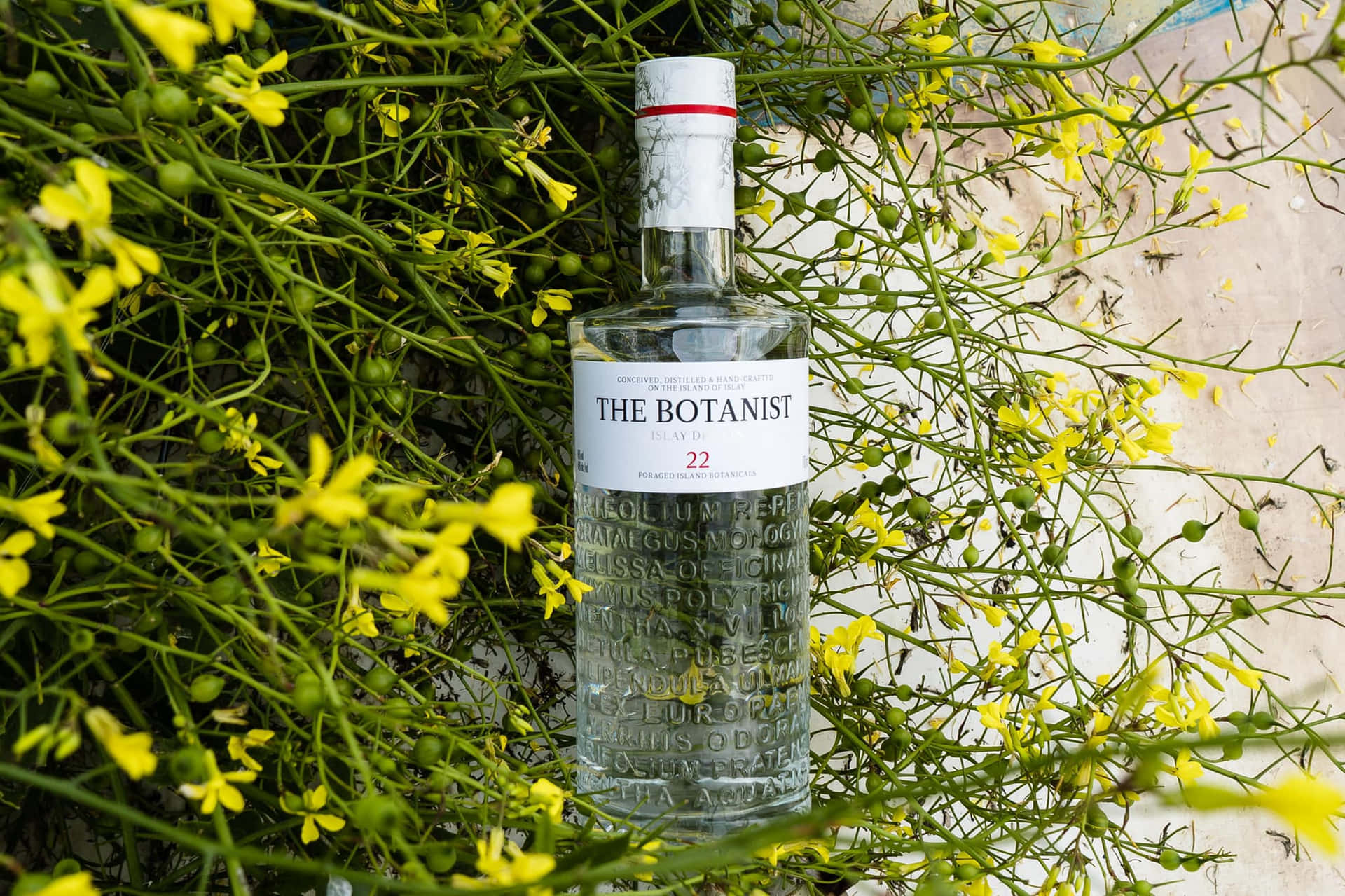 A Toast To Nature With The Botanist Islay Dry Gin And Blooming Winter Jasmine Background