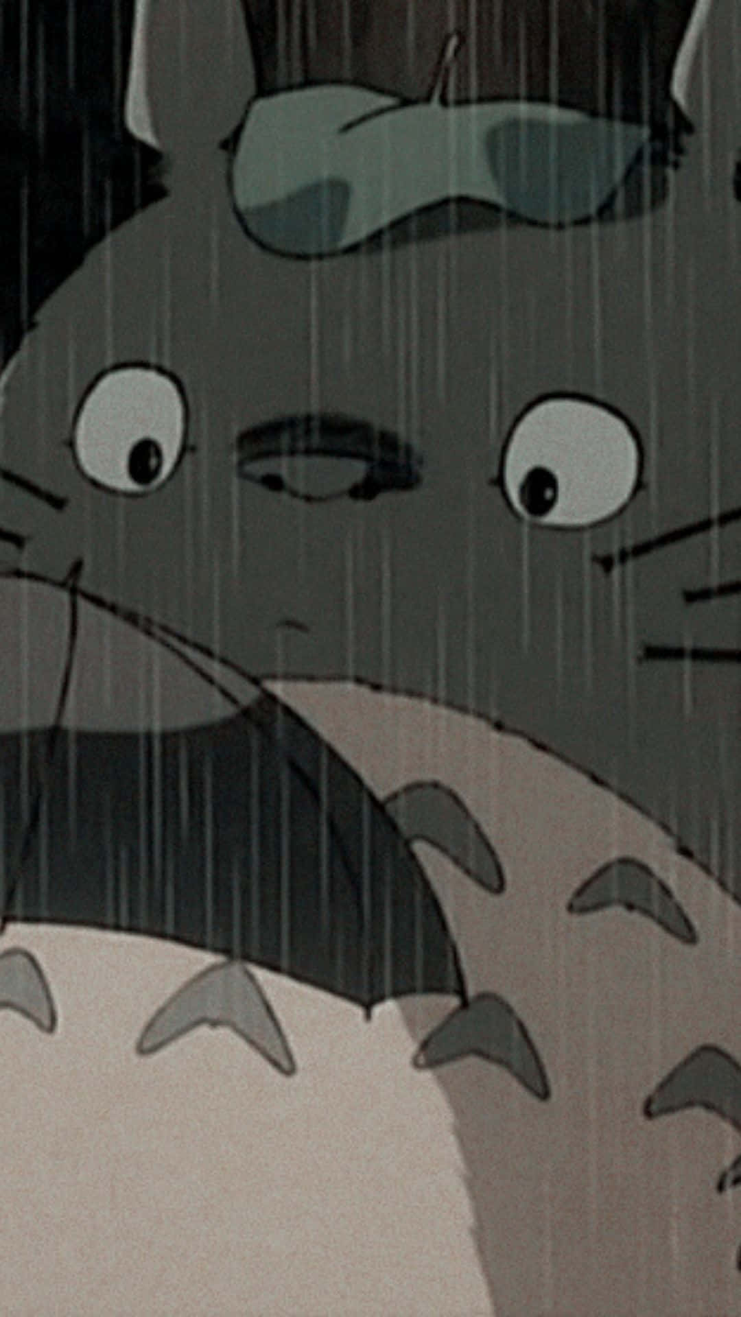 A Totoro In The Rain