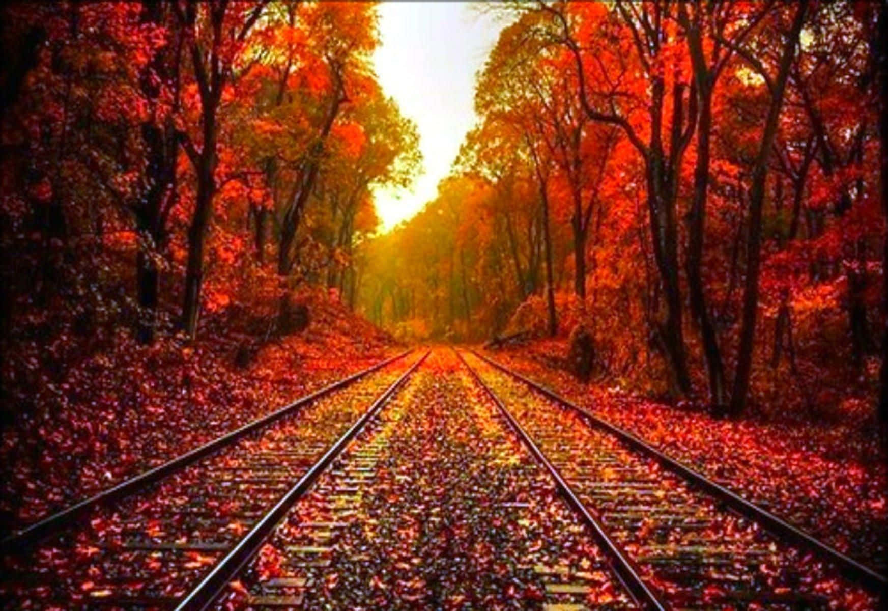 A Train Track In The Autumn Metal Print