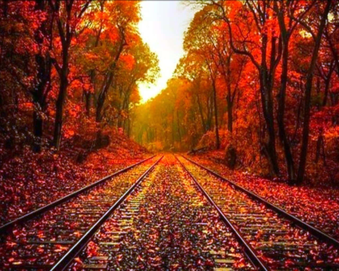A Train Track In The Autumn Metal Print Background
