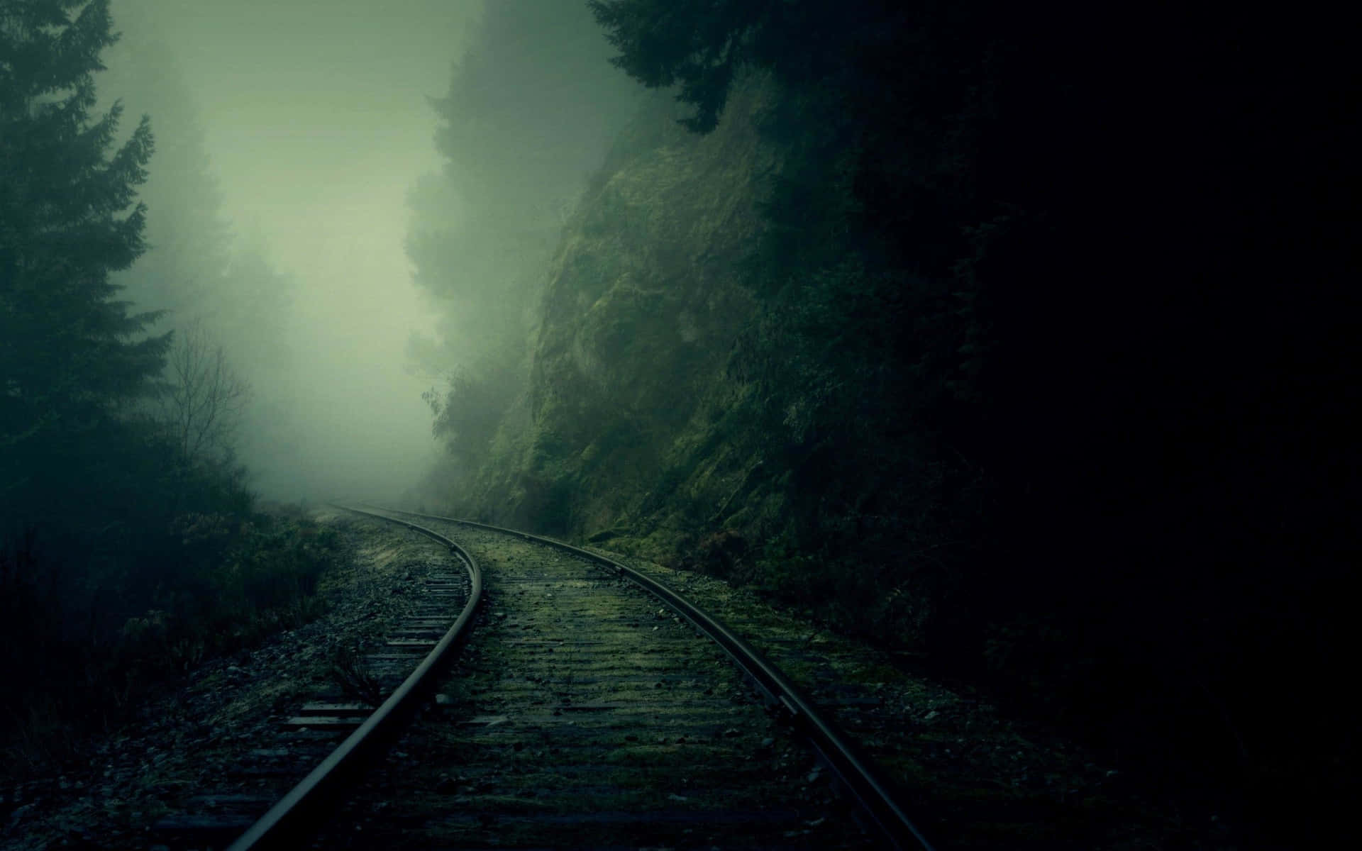 A Train Track In The Forest With Fog Background
