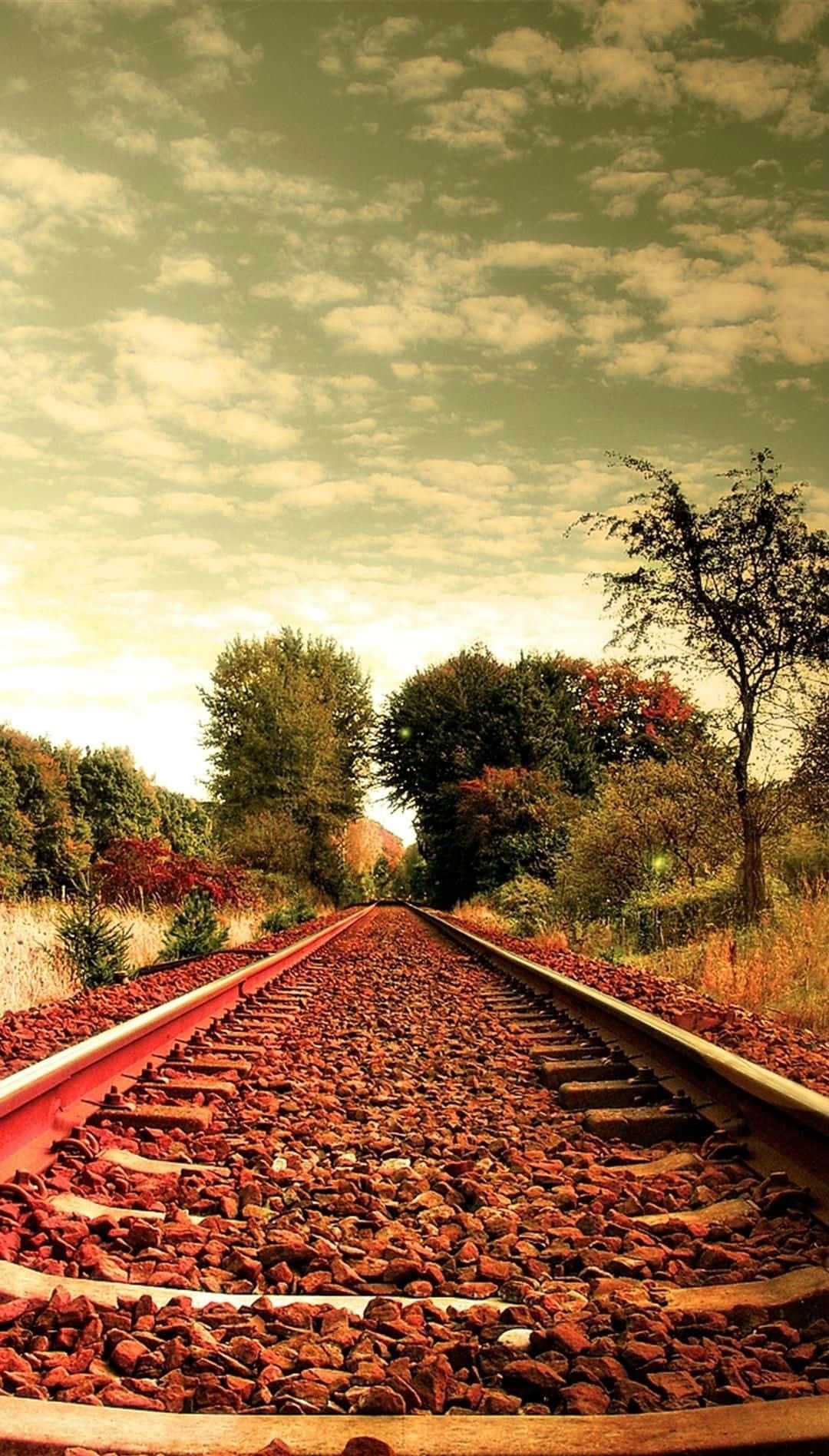 A Train Track With Trees Background