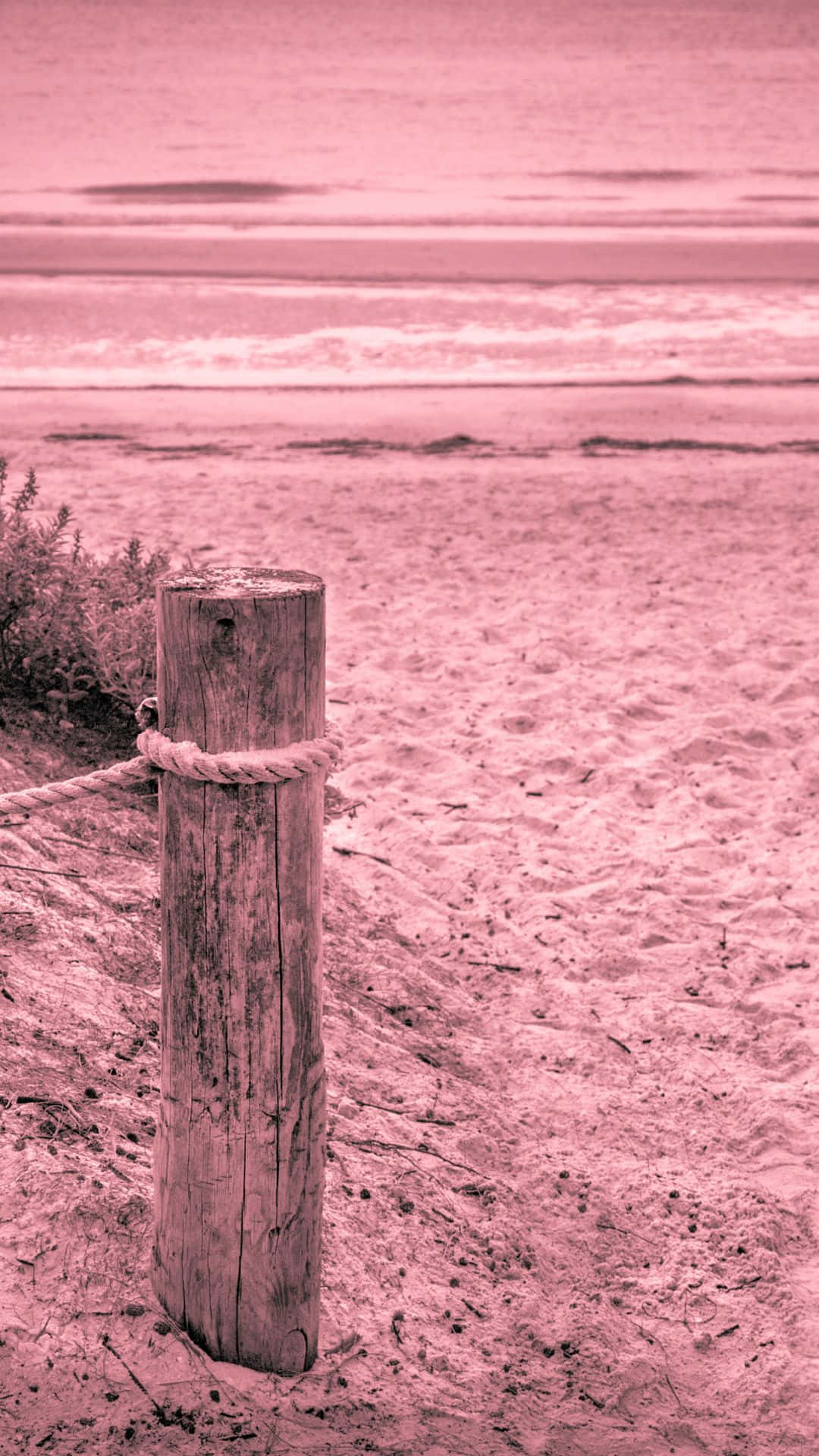 A Tranquil Moment At Pink Beach Background