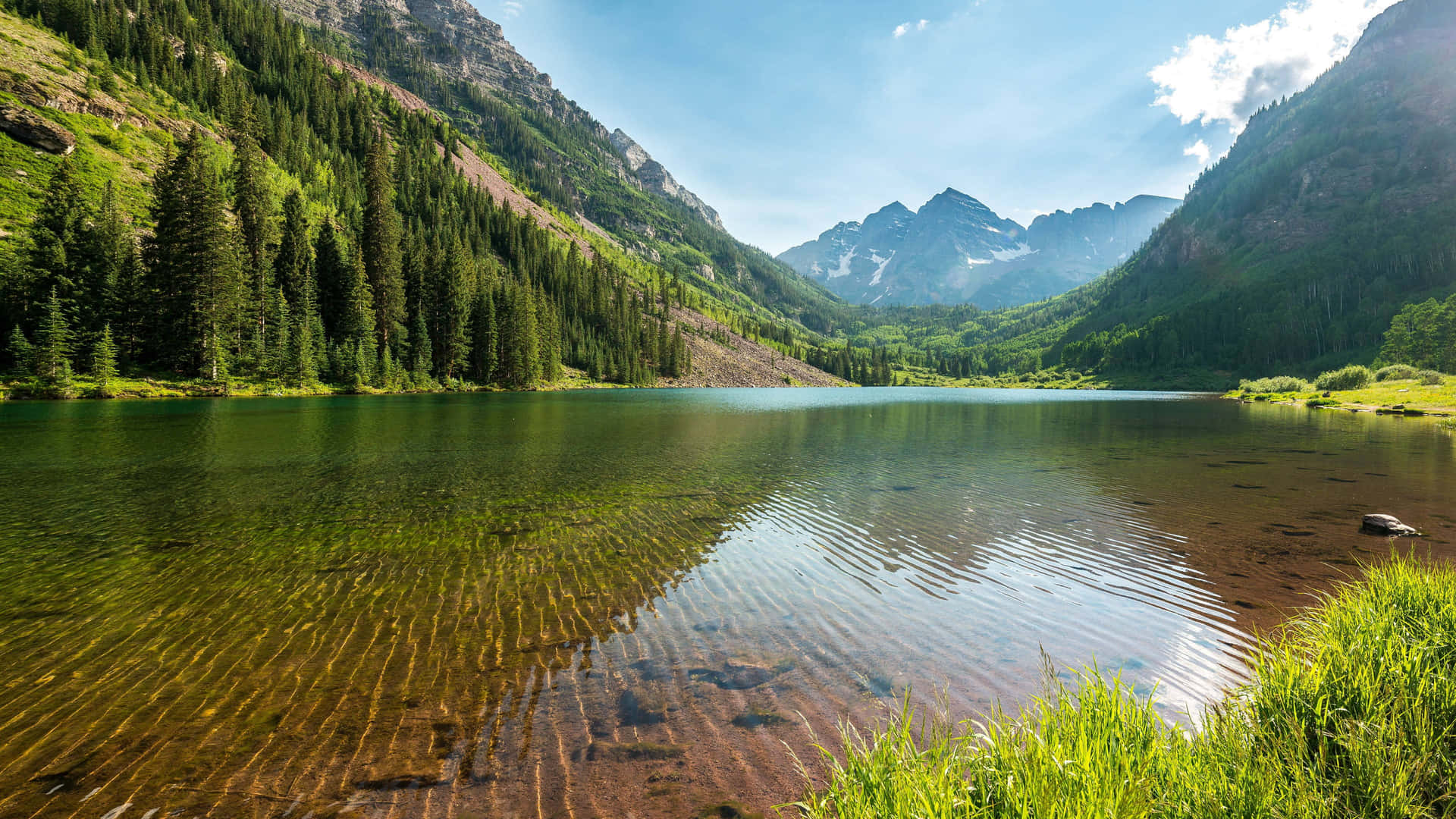 A Tranquil View Of A Picturesque Forest Background