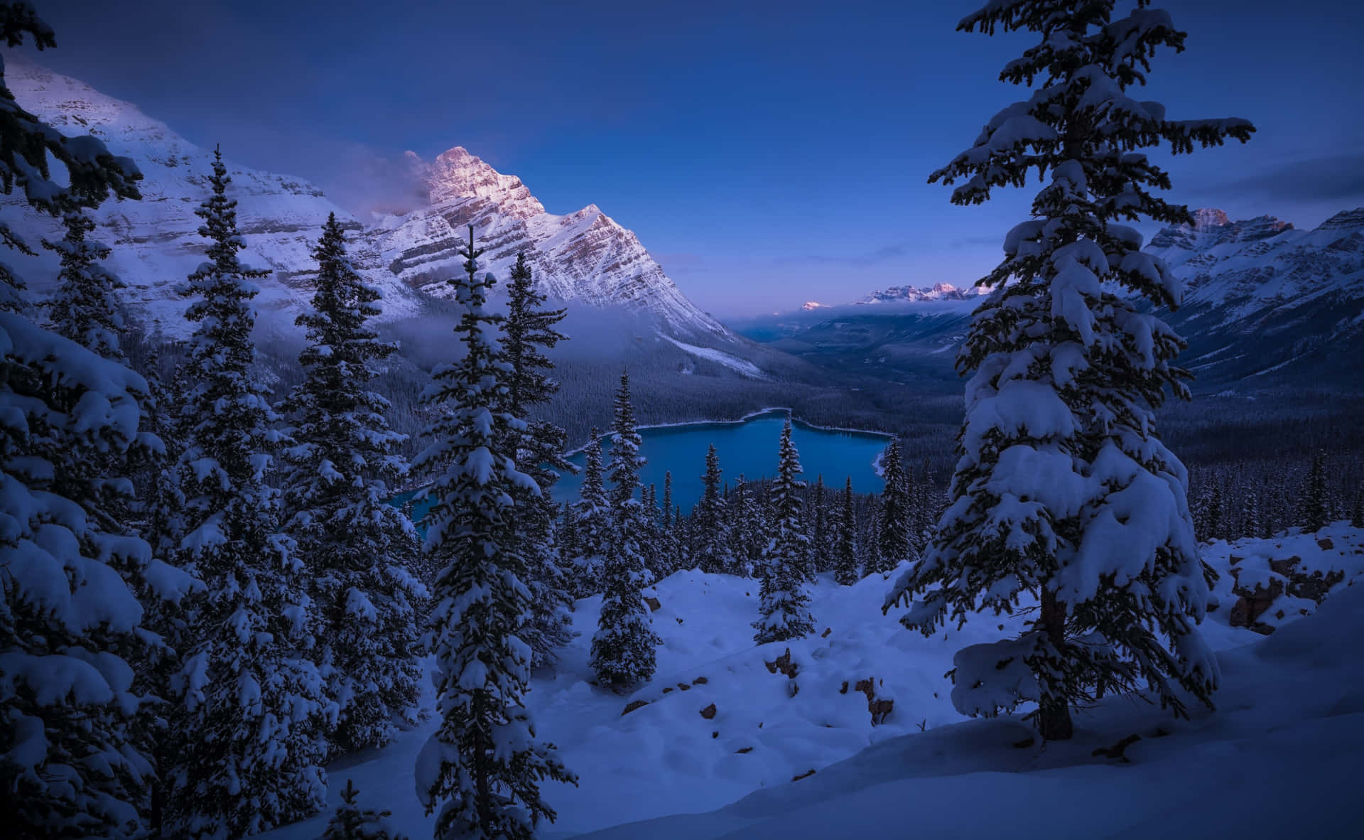 _ A Tranquil Winter Snowfall Amongst Evergreens In The Mountains._ Background