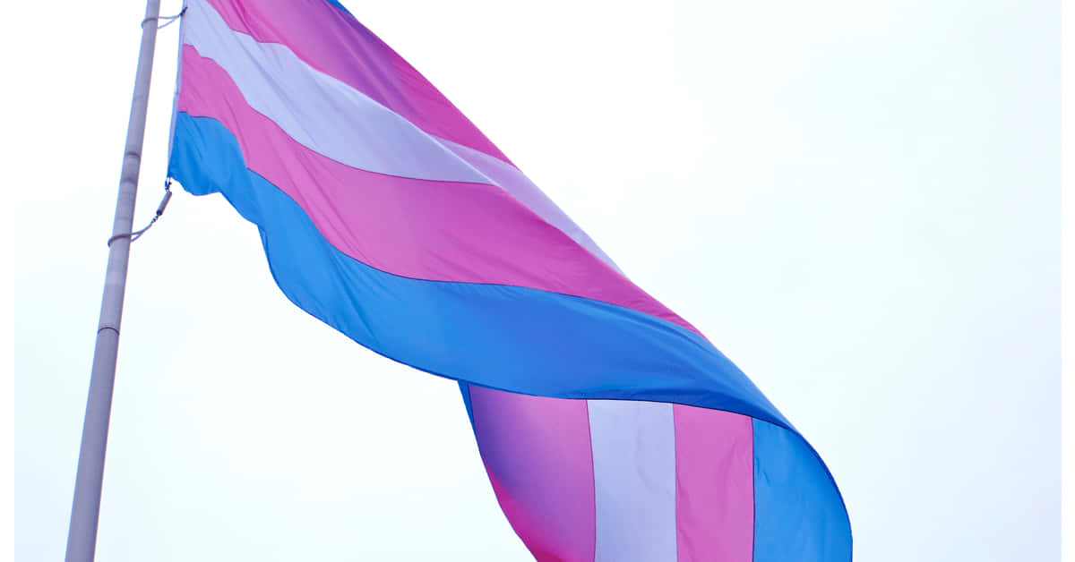 A Transgender Flag Flying In The Sky Background