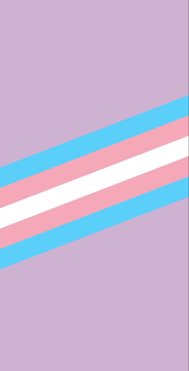 A Transgender Flag With A Blue, Pink And White Stripe