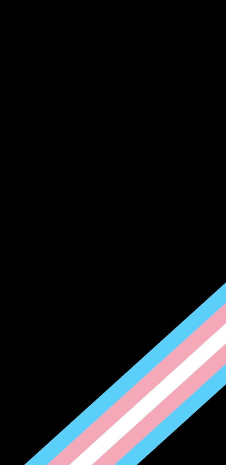 A Transgender Flag With A Pink, Blue And White Stripe Background