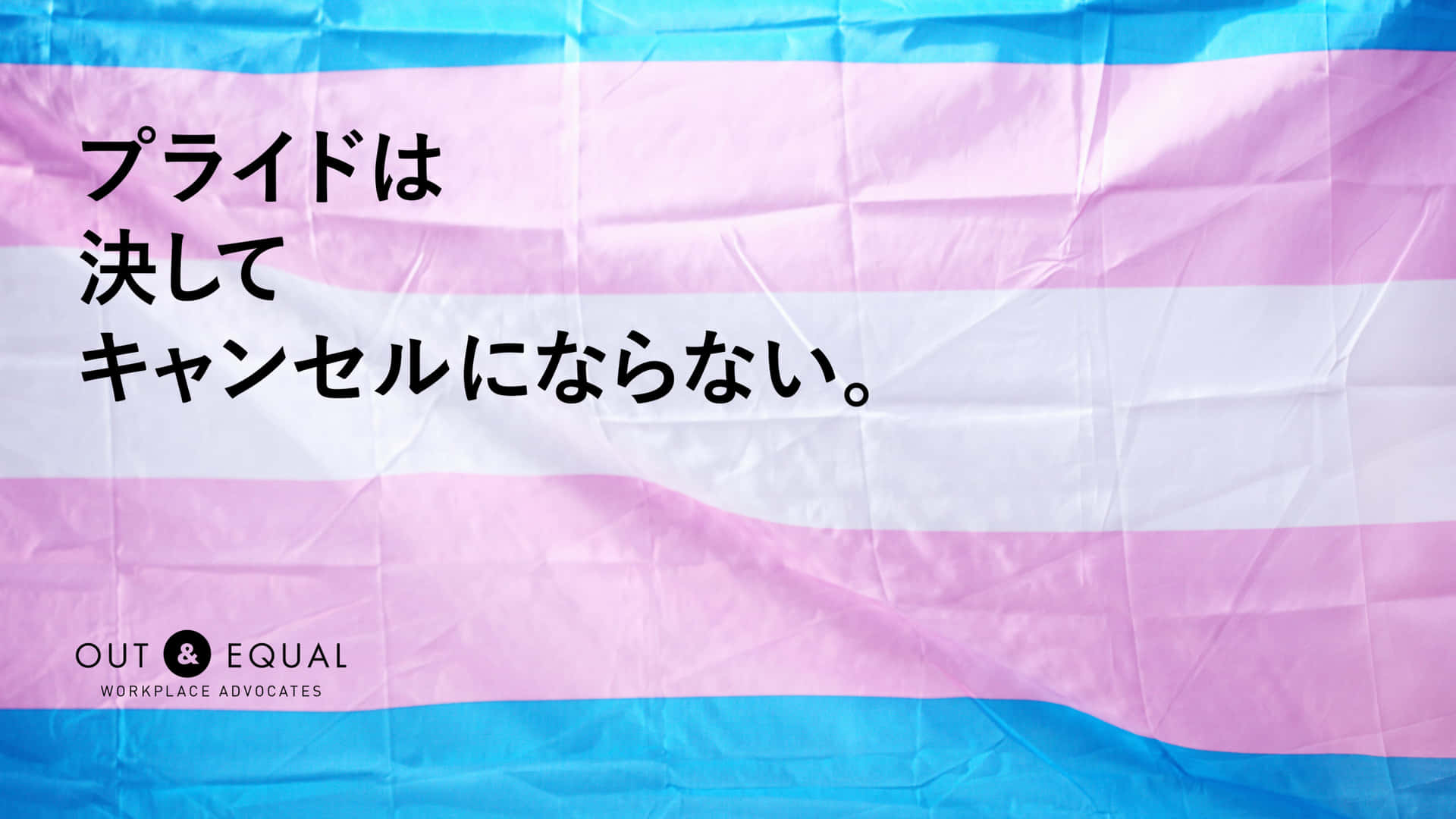 A Transgender Flag With The Words'transgender' Background