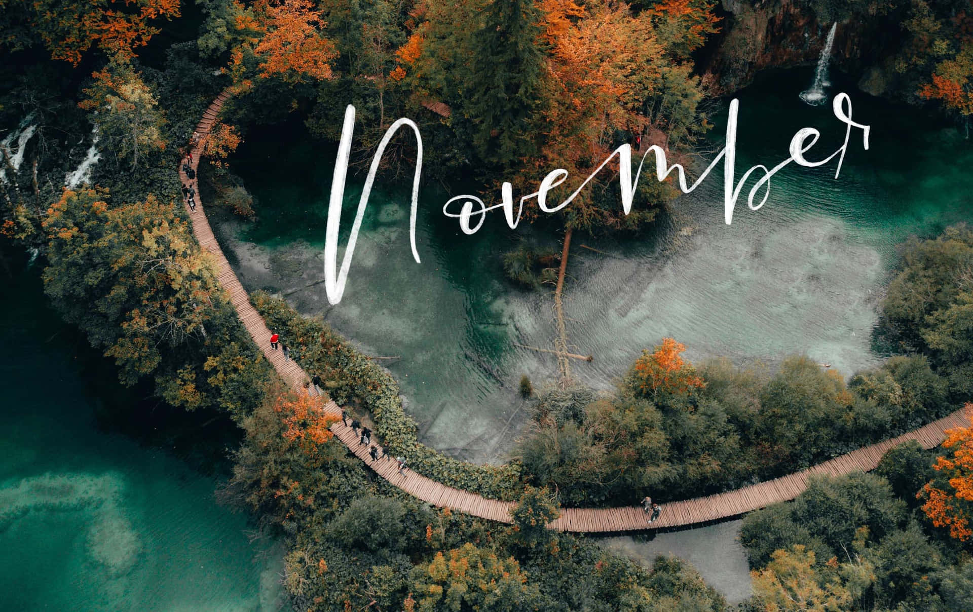 A Tree And A Path With The Words November Background