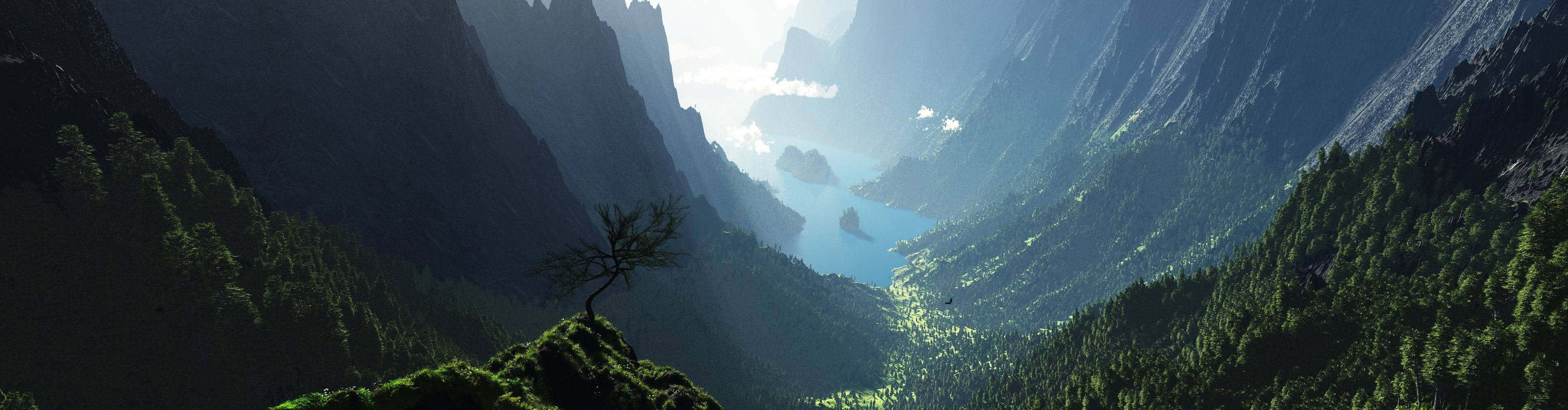 A Tree In A Valley With A Lake