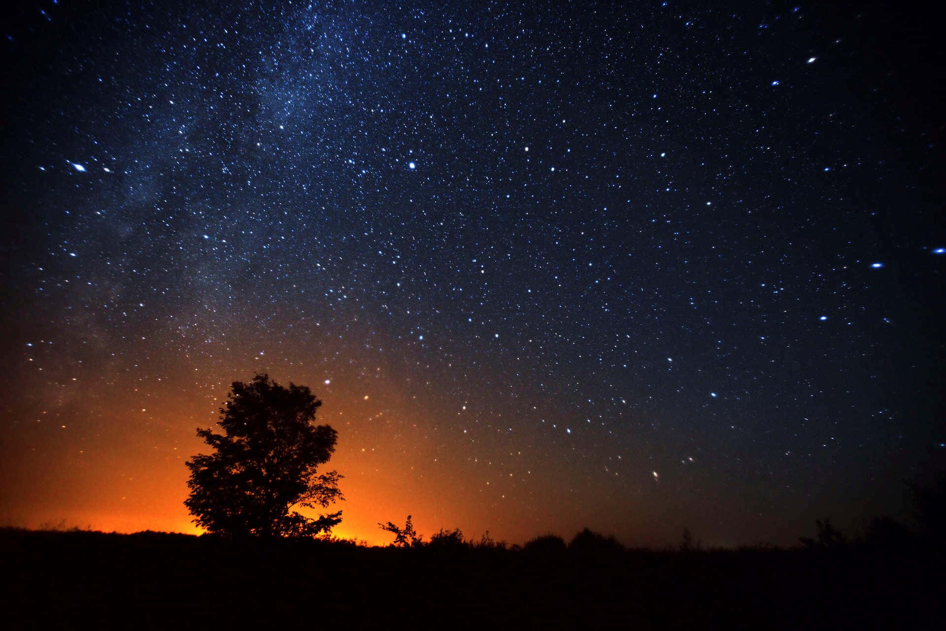 A Tree Is In The Middle Of The Night Sky Background