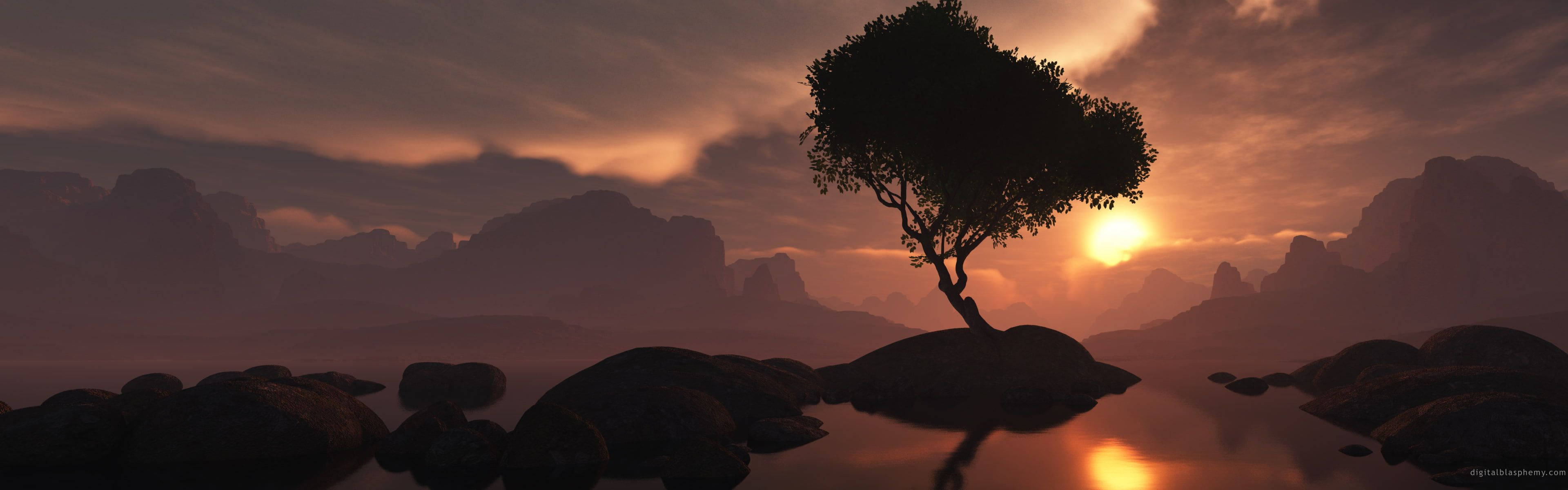 A Tree On A Rock Background