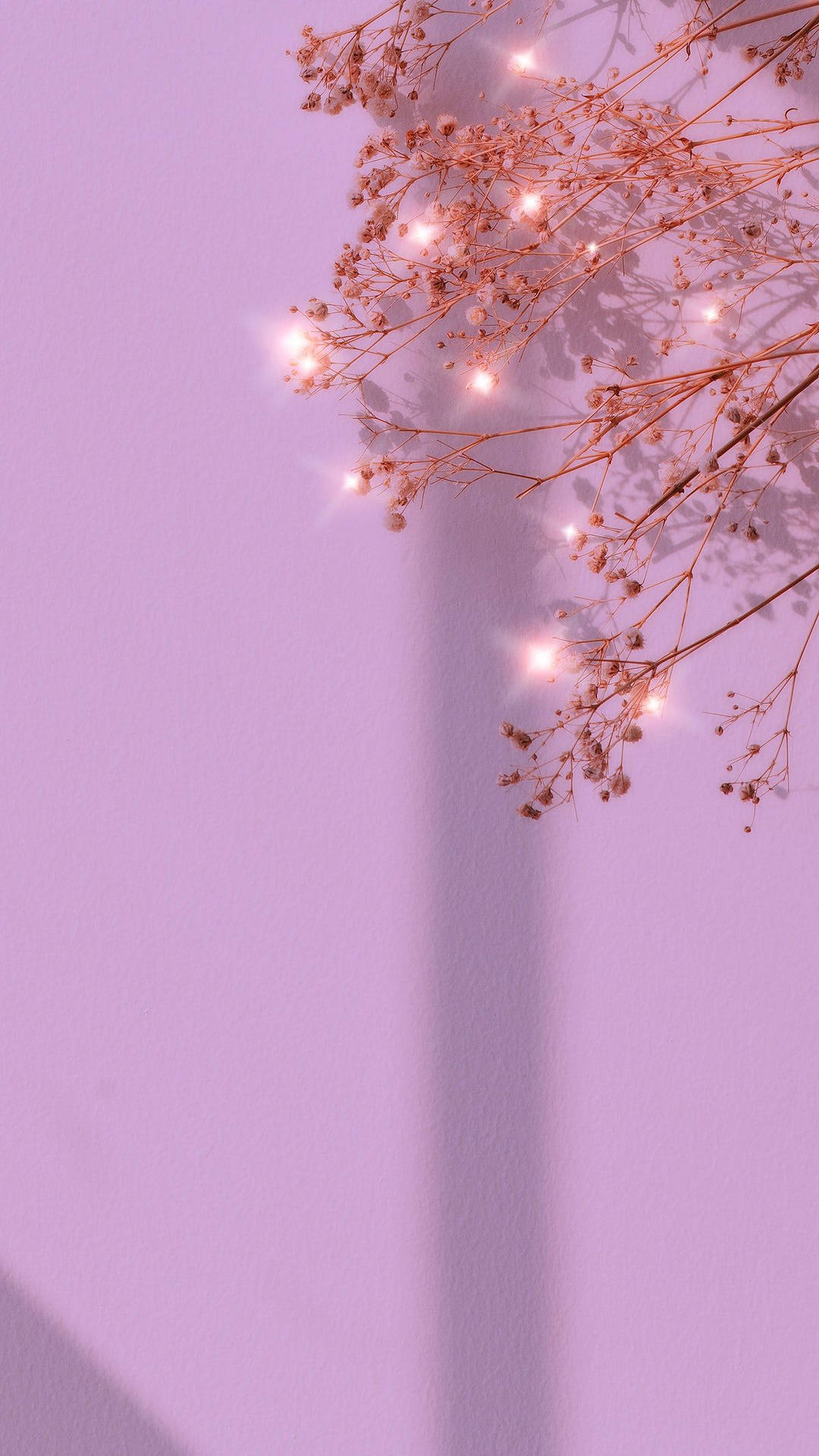 A Tree With A Pink Wall Background