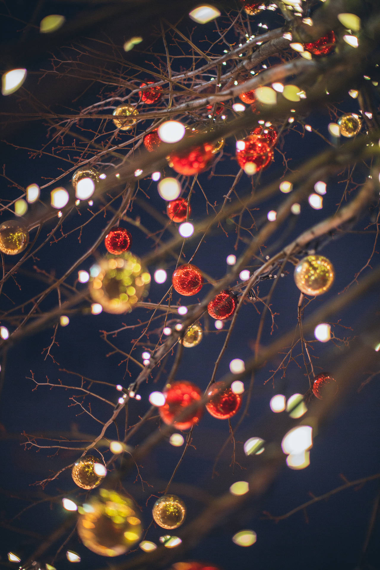 A Tree With Many Ornaments Hanging From It Background