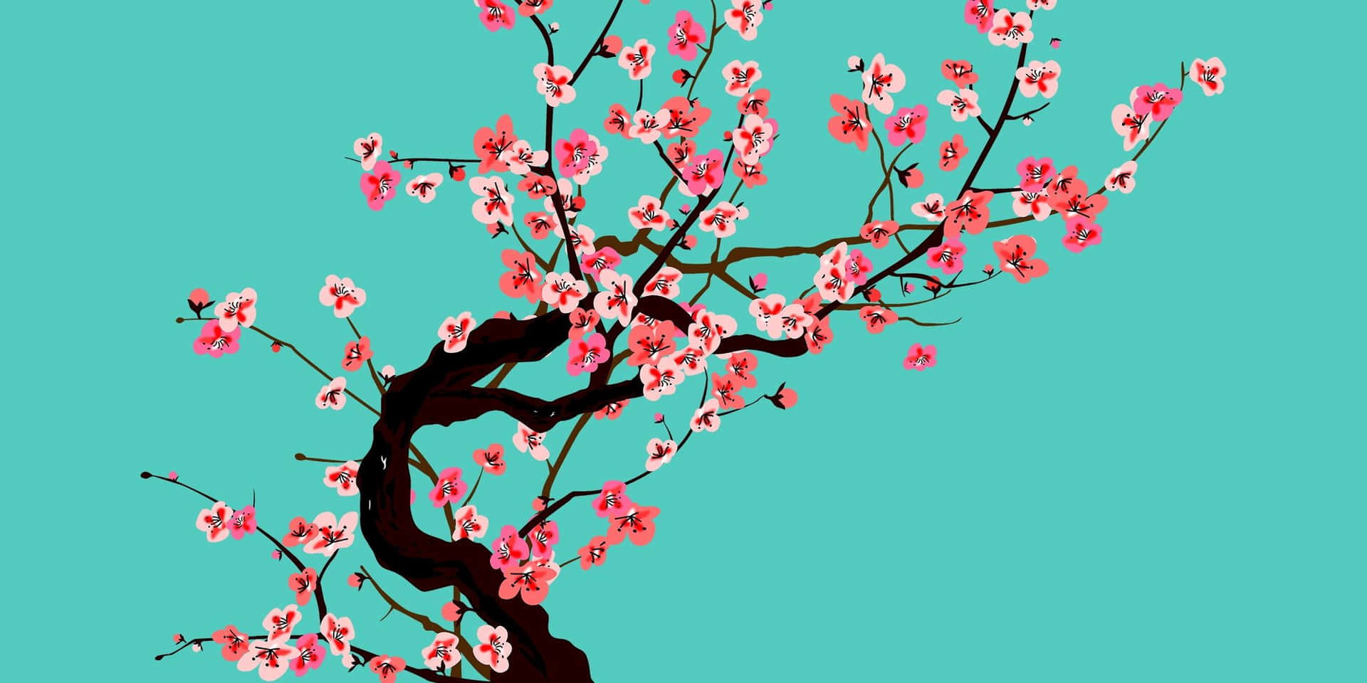 A Tree With Pink Flowers On A Blue Background Background
