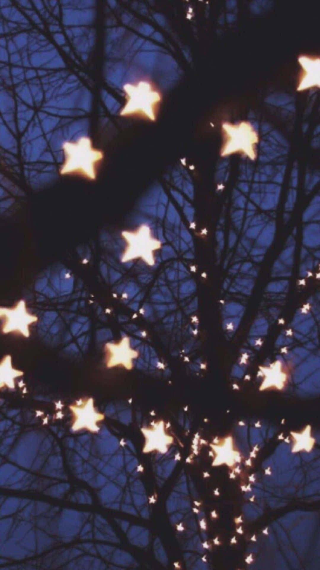 A Tree With Stars On It Background
