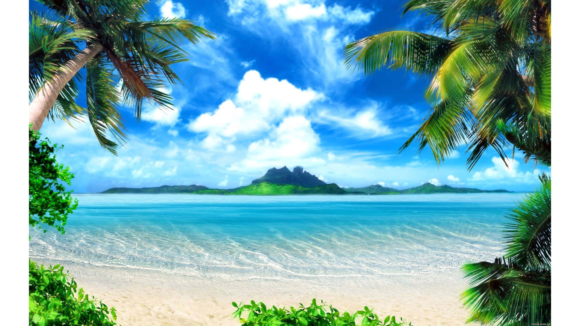 A Tropical Beach With Palm Trees And Blue Water Background