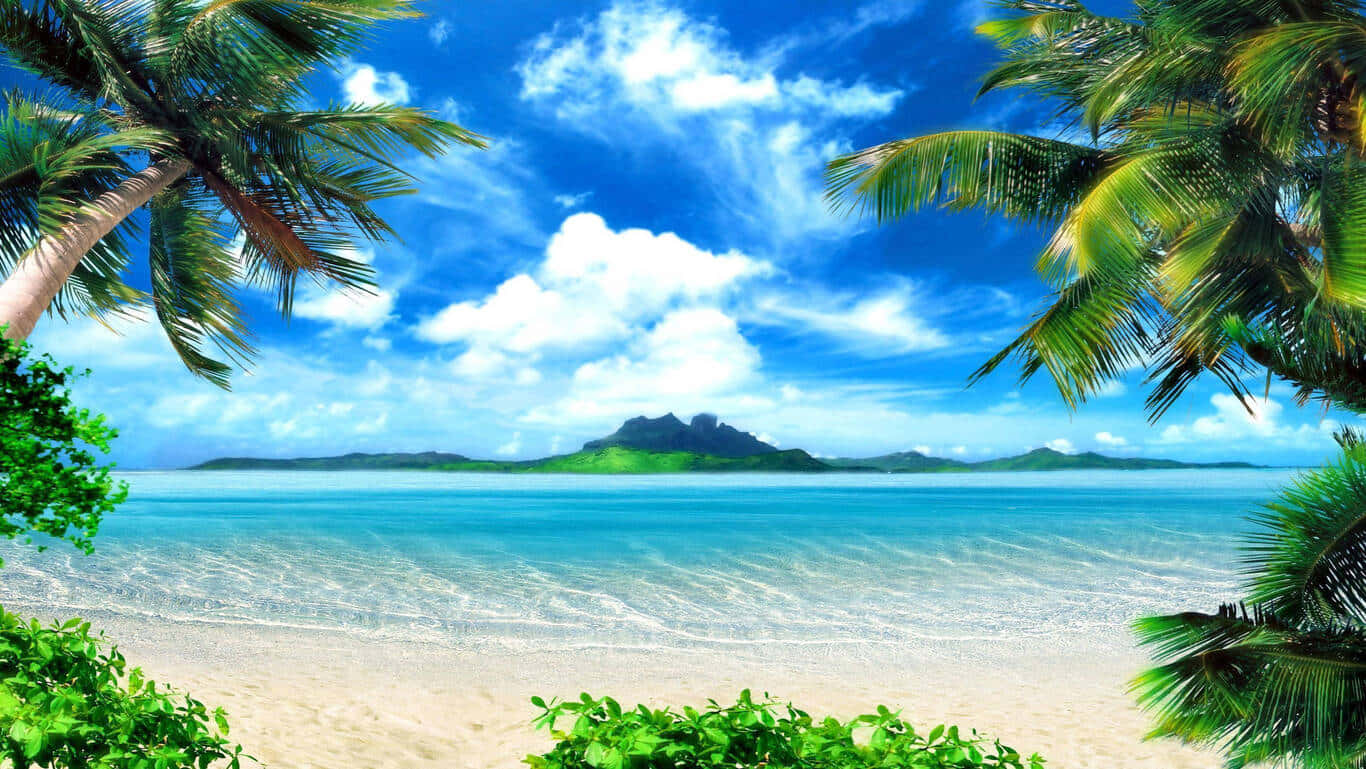 A Tropical Beach With Palm Trees And Water Background