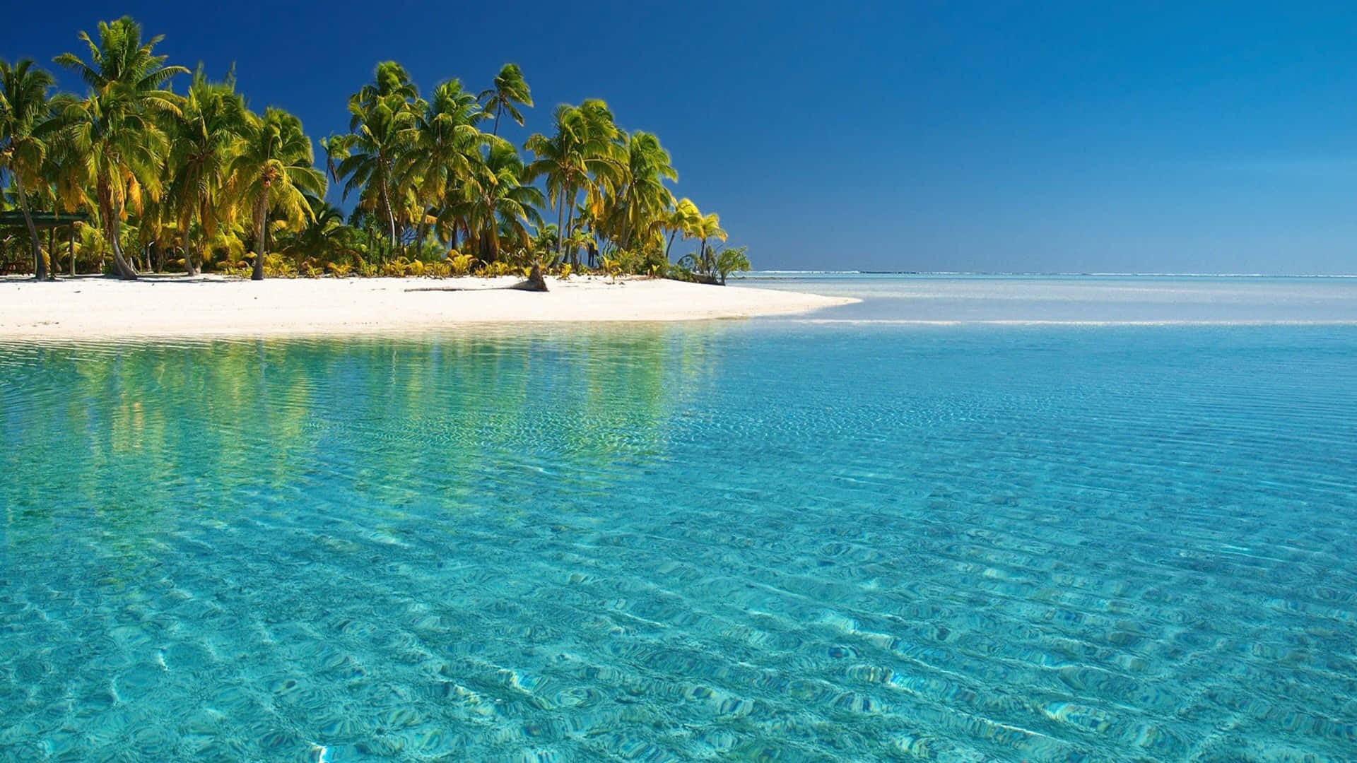 A Tropical Island With Clear Water And Palm Trees