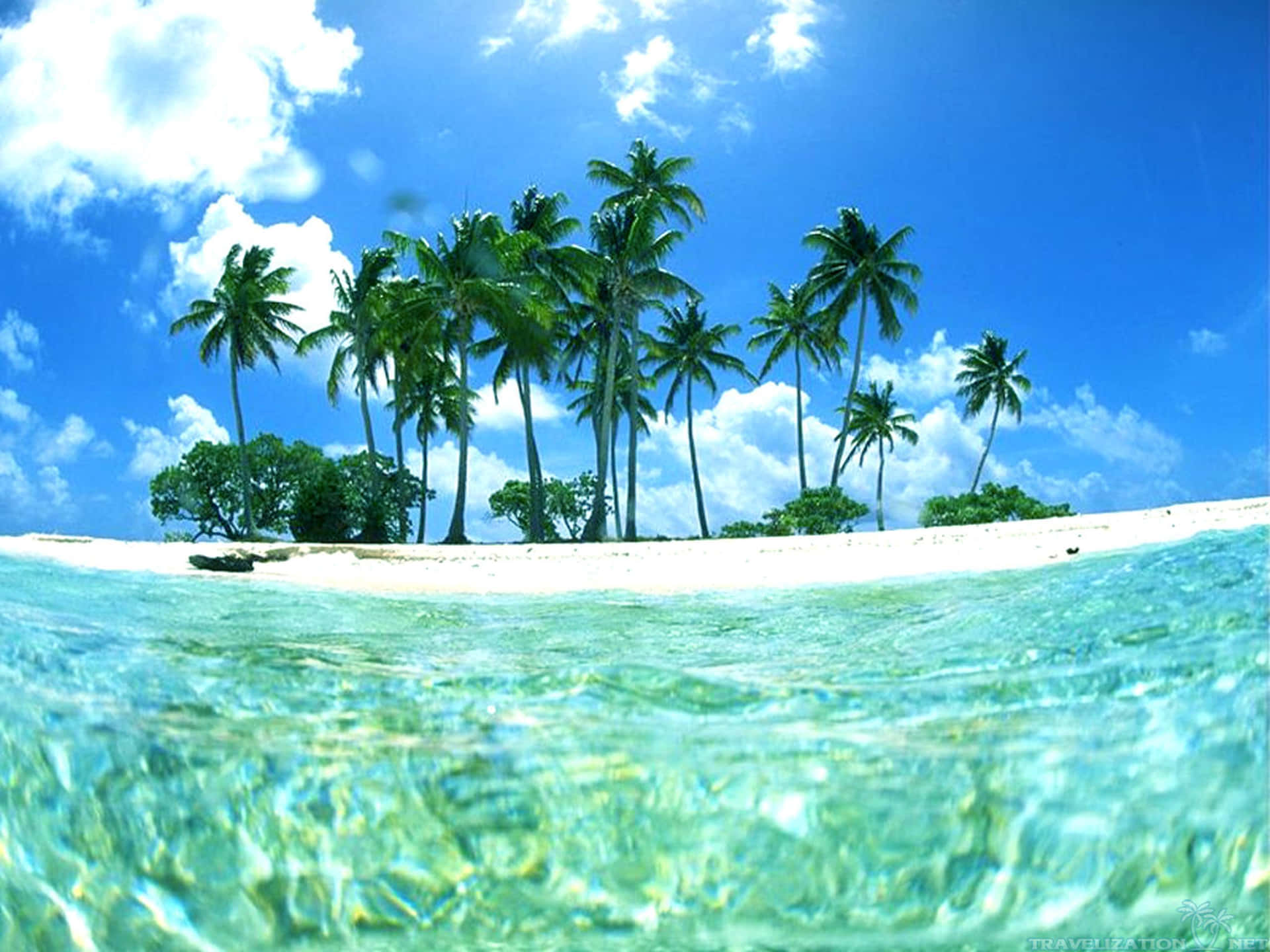 A Tropical Island With Palm Trees And Clear Water Background