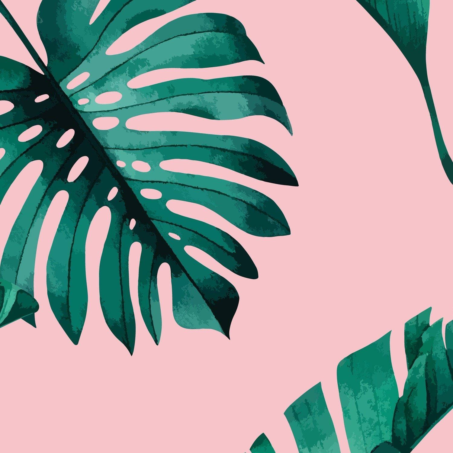 A Tropical Leaf Pattern On A Pink Background Background