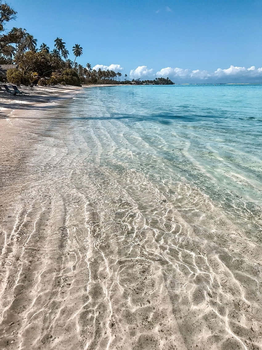 A Tropical Paradise Beach Along The Coastline Background