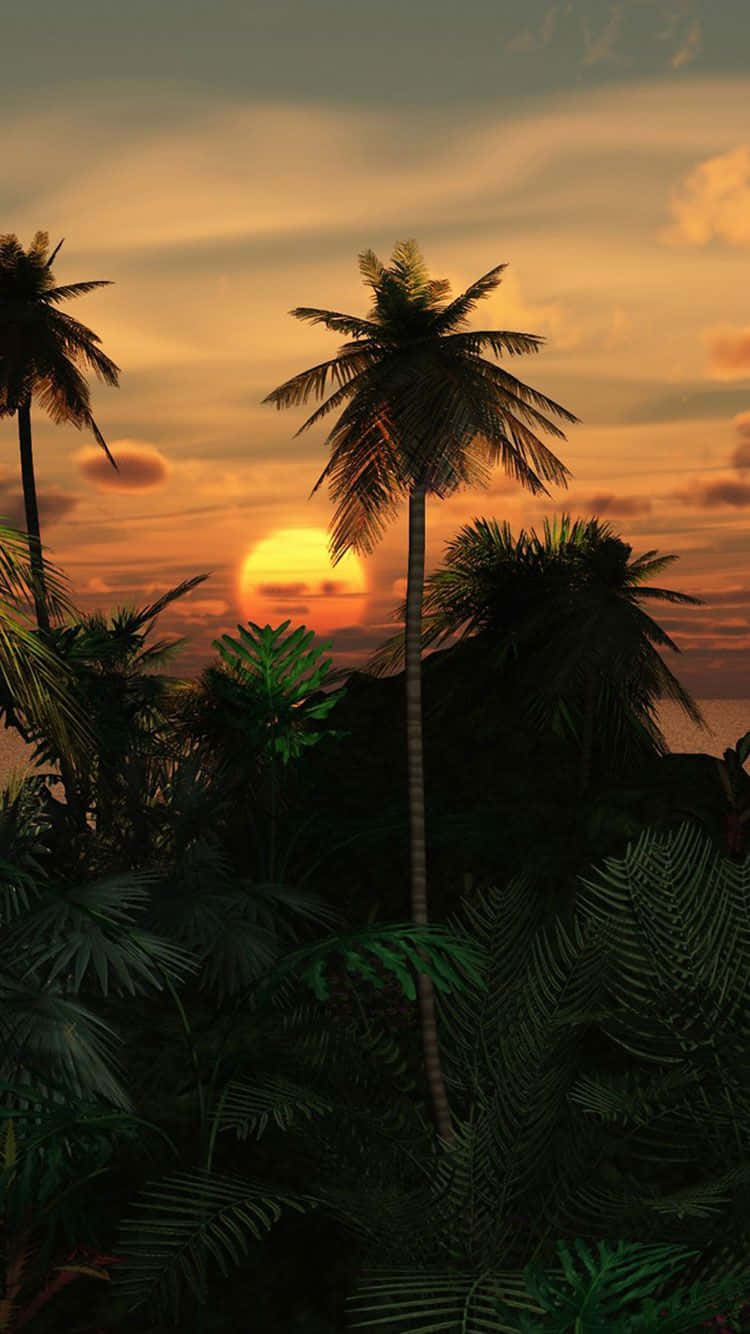 A Tropical Scene With Palm Trees And A Sunset