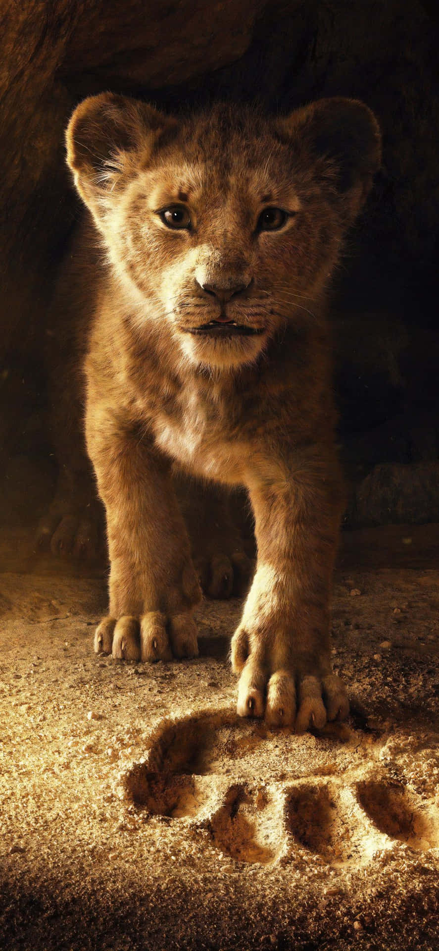 A Truly Majestic King Of Pride Rock Background