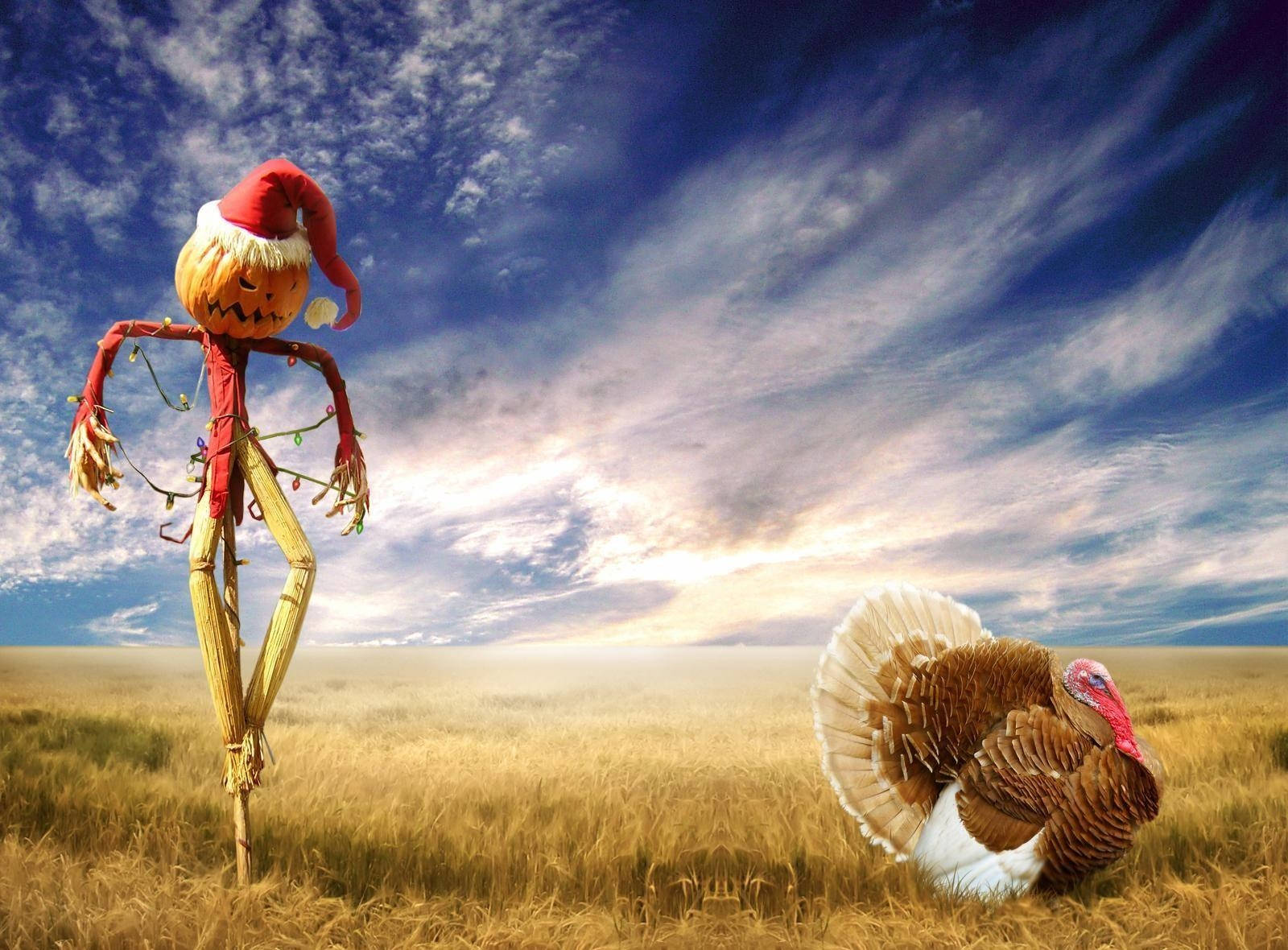 A Turkey And A Scarecrow In A Field