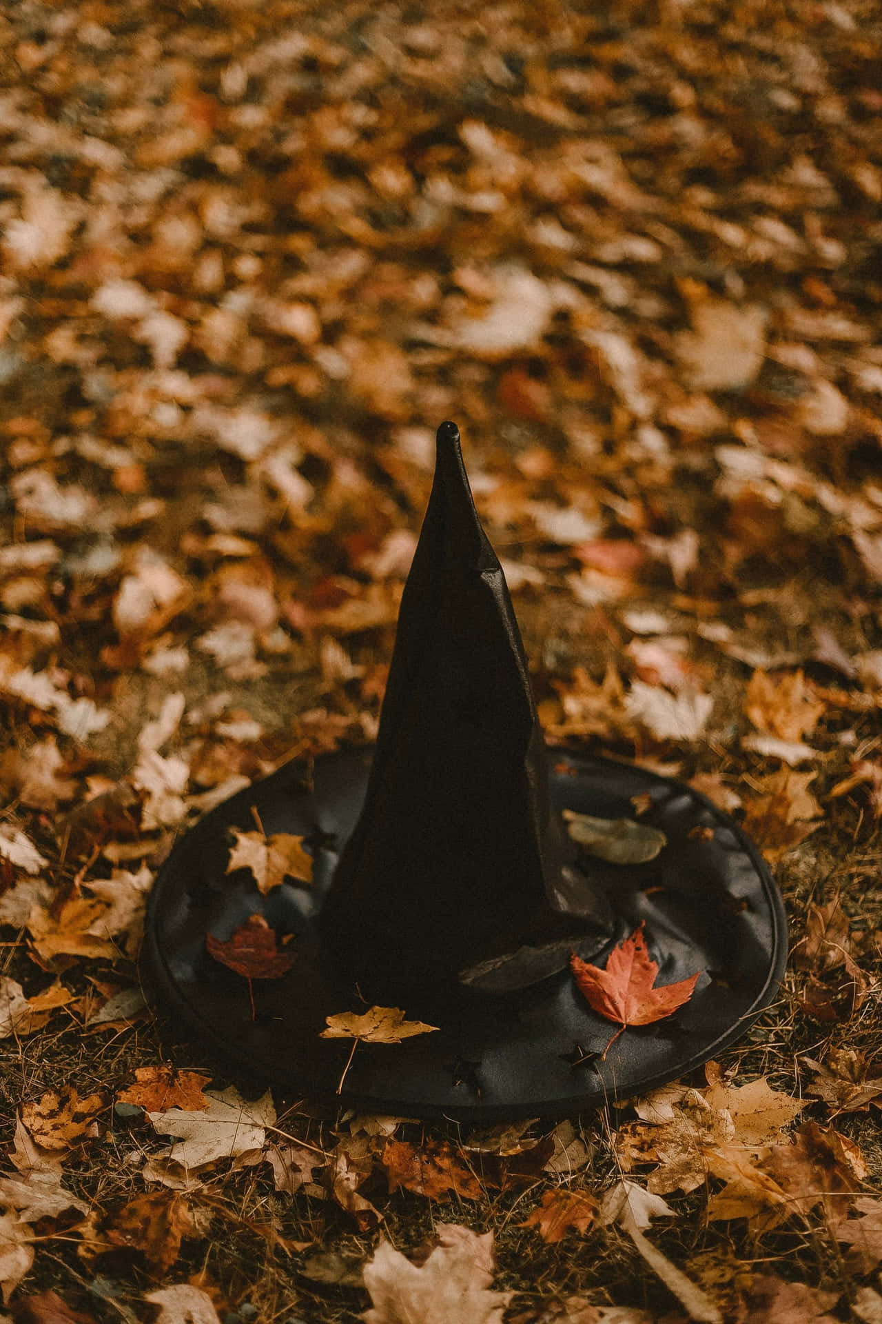 A Uniqely Witch Aesthetic In The Evening Background