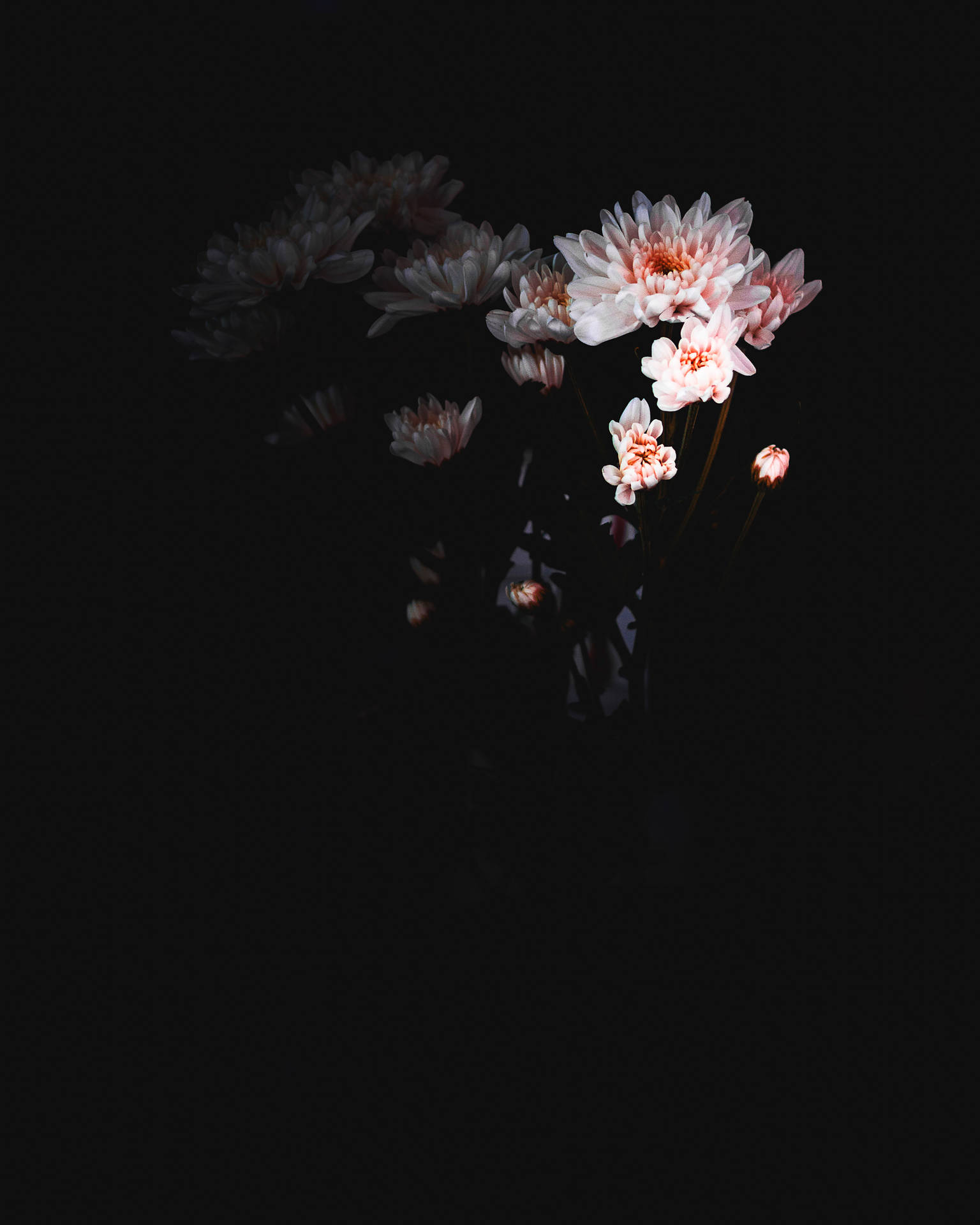 A Vase Of Flowers In The Dark Background