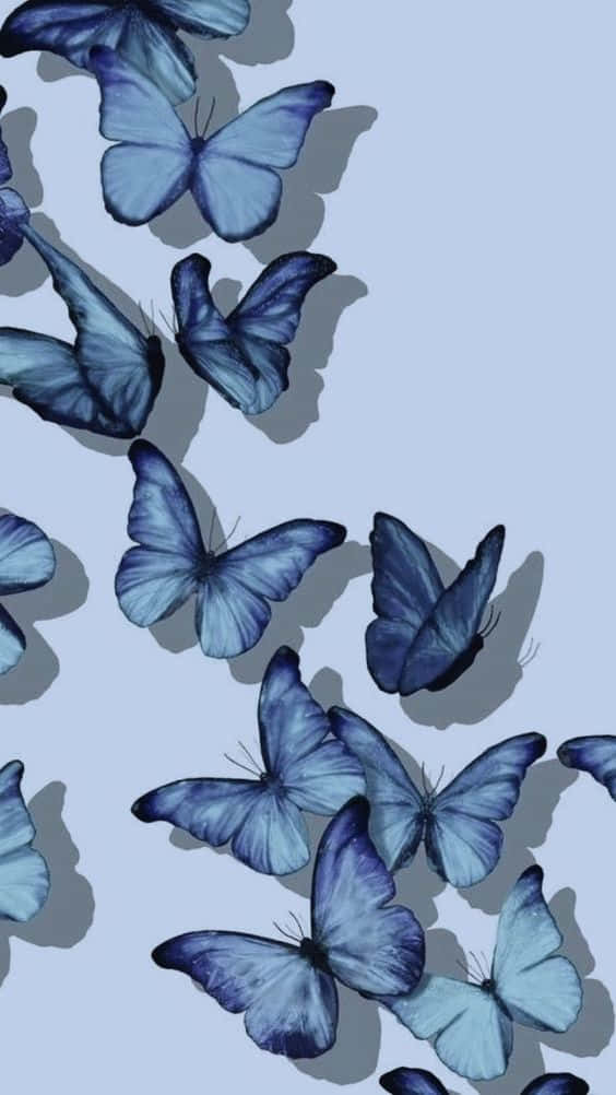A Vibrant And Eye-catching Cool Butterfly Background