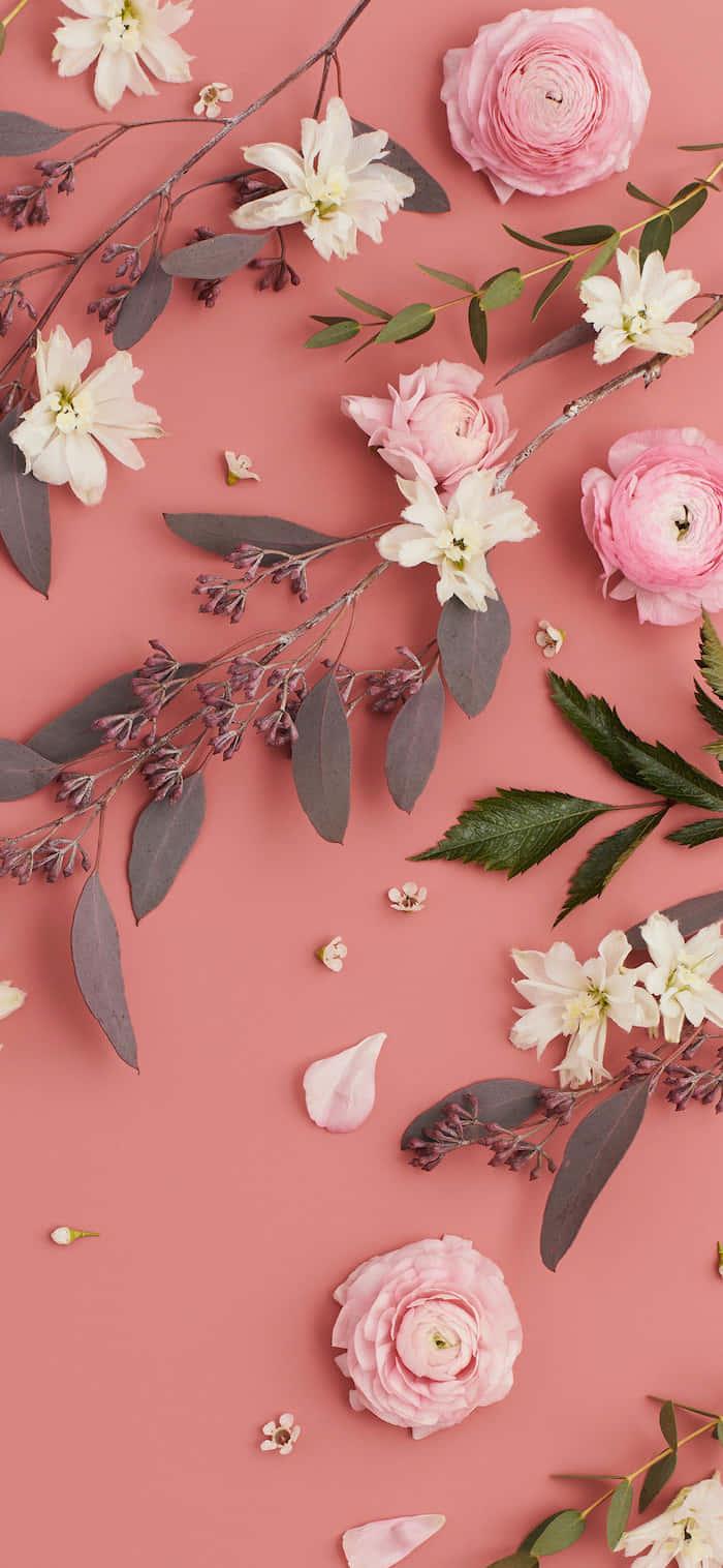 A Vibrant And Stylishly Pink Aesthetic Background