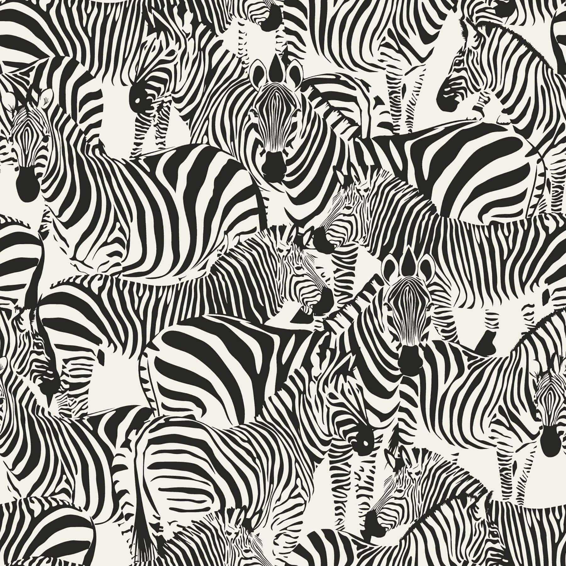 A Vibrant Black And White Animal Print Design. Background